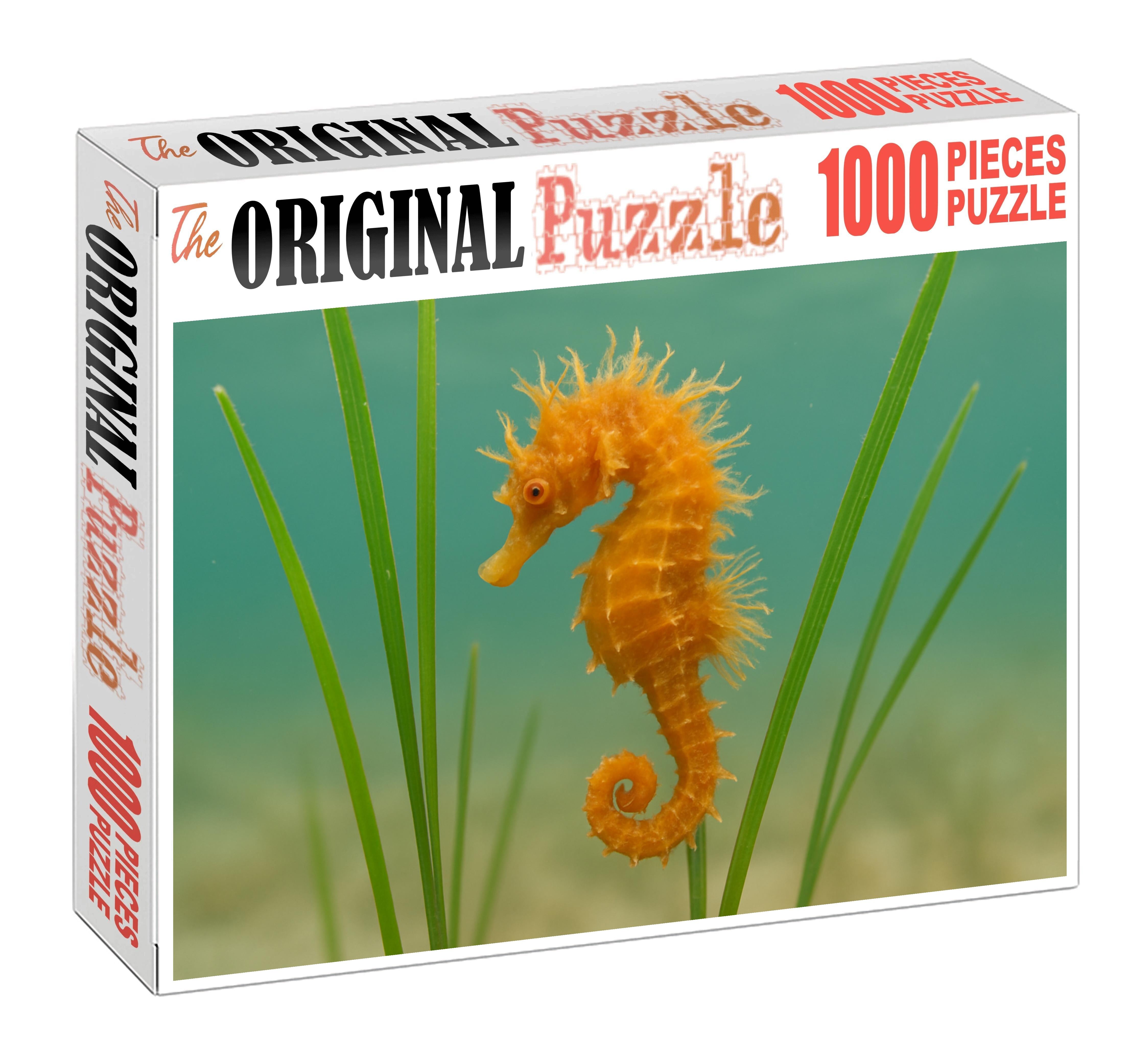 Amber-tufted Seahorse Tiny Ornamental Fish With Delicate Appendages Mini Puzzle