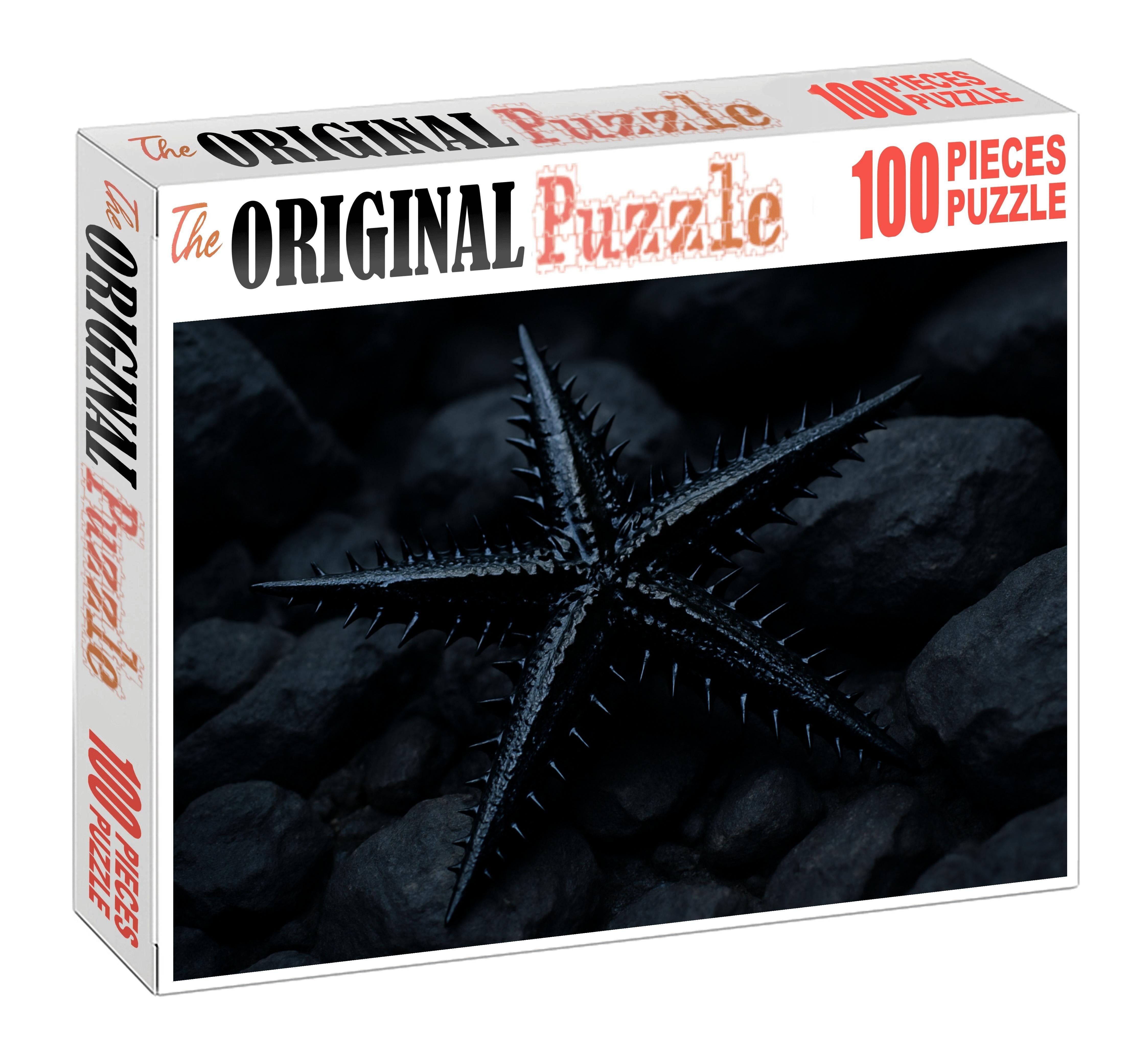 Obsidian Spiny Star Blackened Echinoderm With Sharp Defensive Rays 200 Piece Puzzle