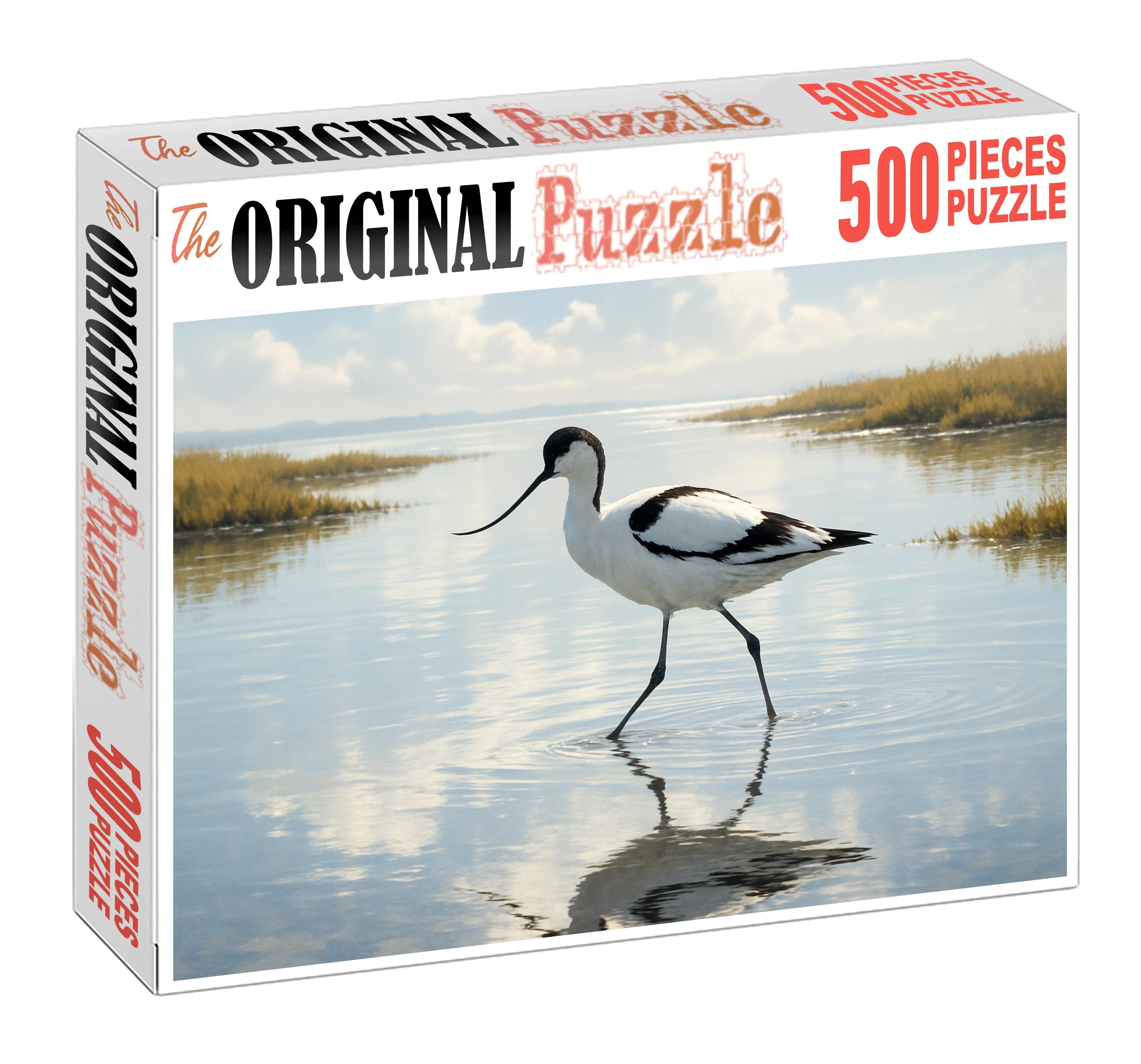 Pied Avocet Graceful Wader Challenging Puzzles