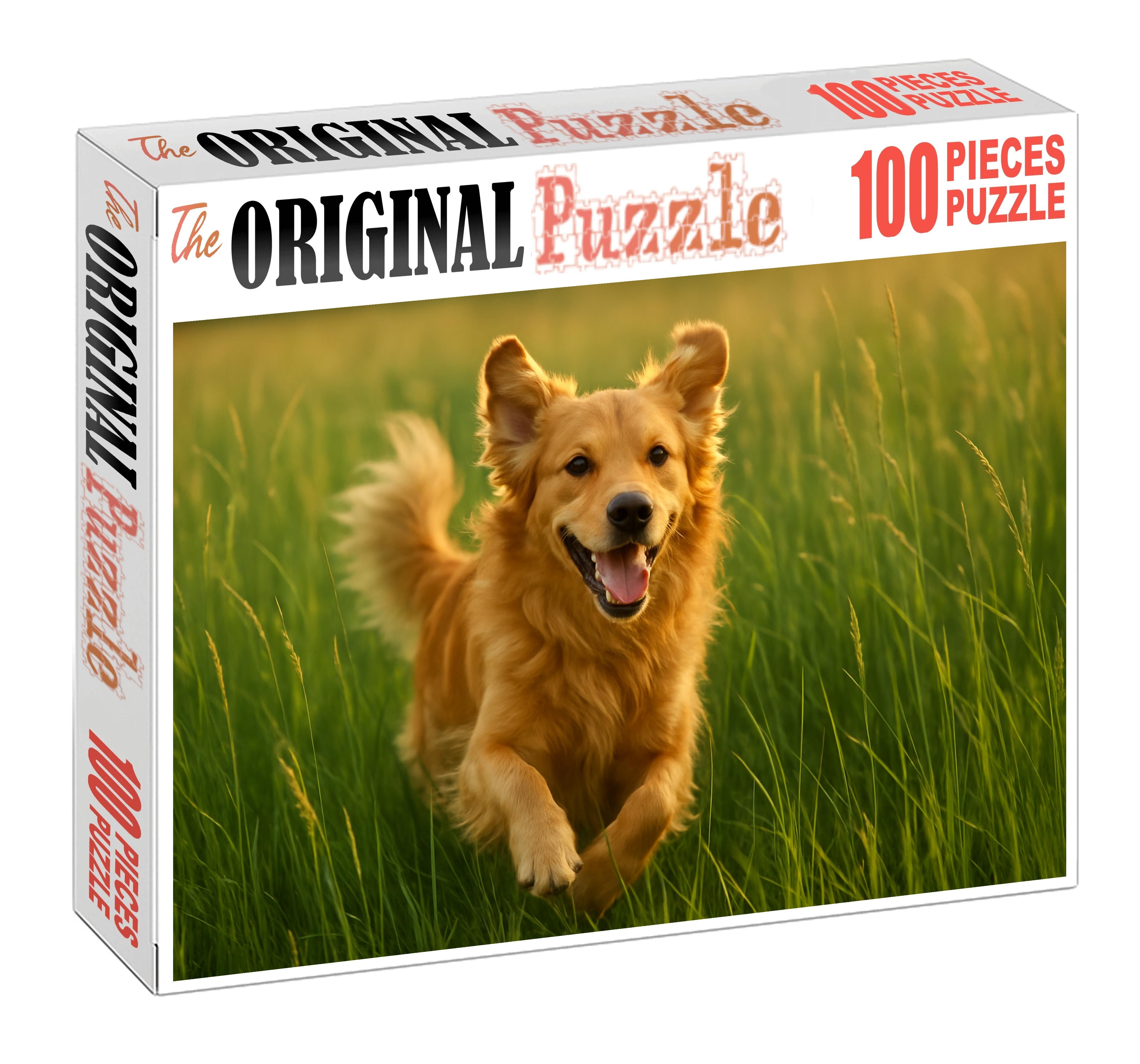 Amber Zephyr Lush Golden-furred Retriever With Joyful Energy Puzzle For Kids