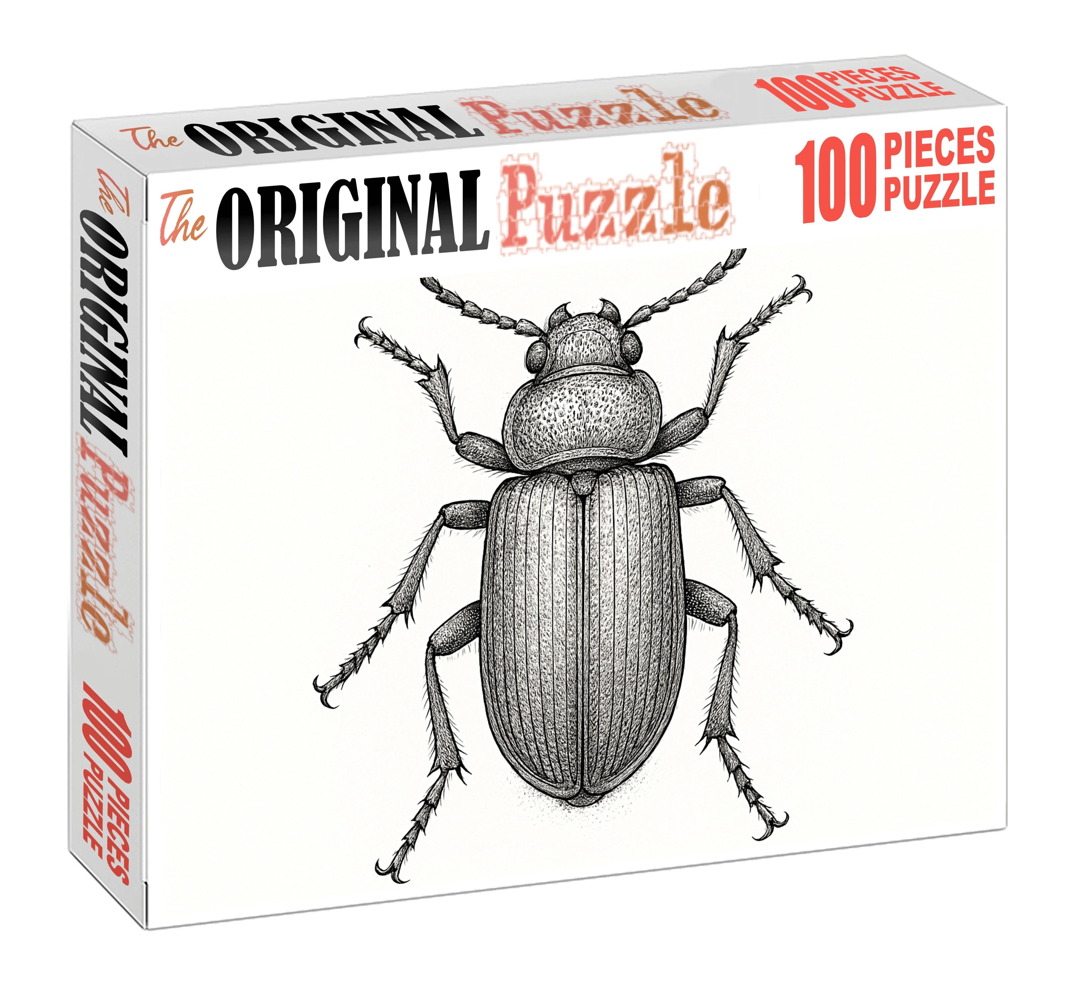 Intricate Insect Anatomy Detailed Pen Drawing Of Beetle Structure Family Puzzles