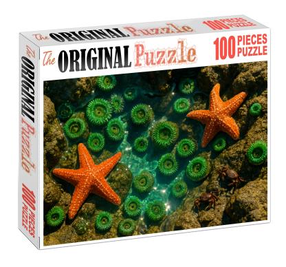 Ivory Tide Pools Custom Jigsaw Puzzle