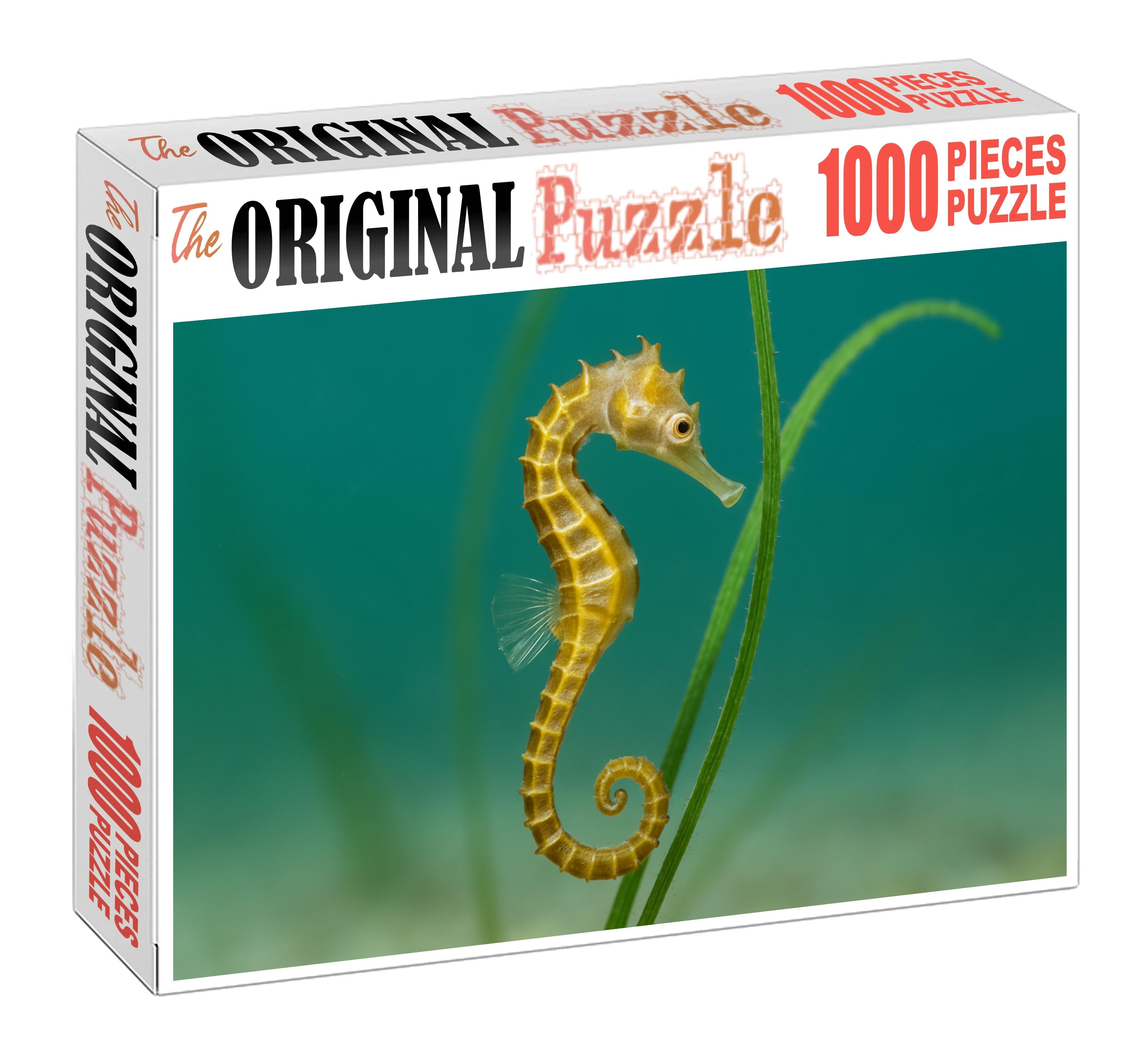 Golden-banded Seahorse 20 Piece Puzzle
