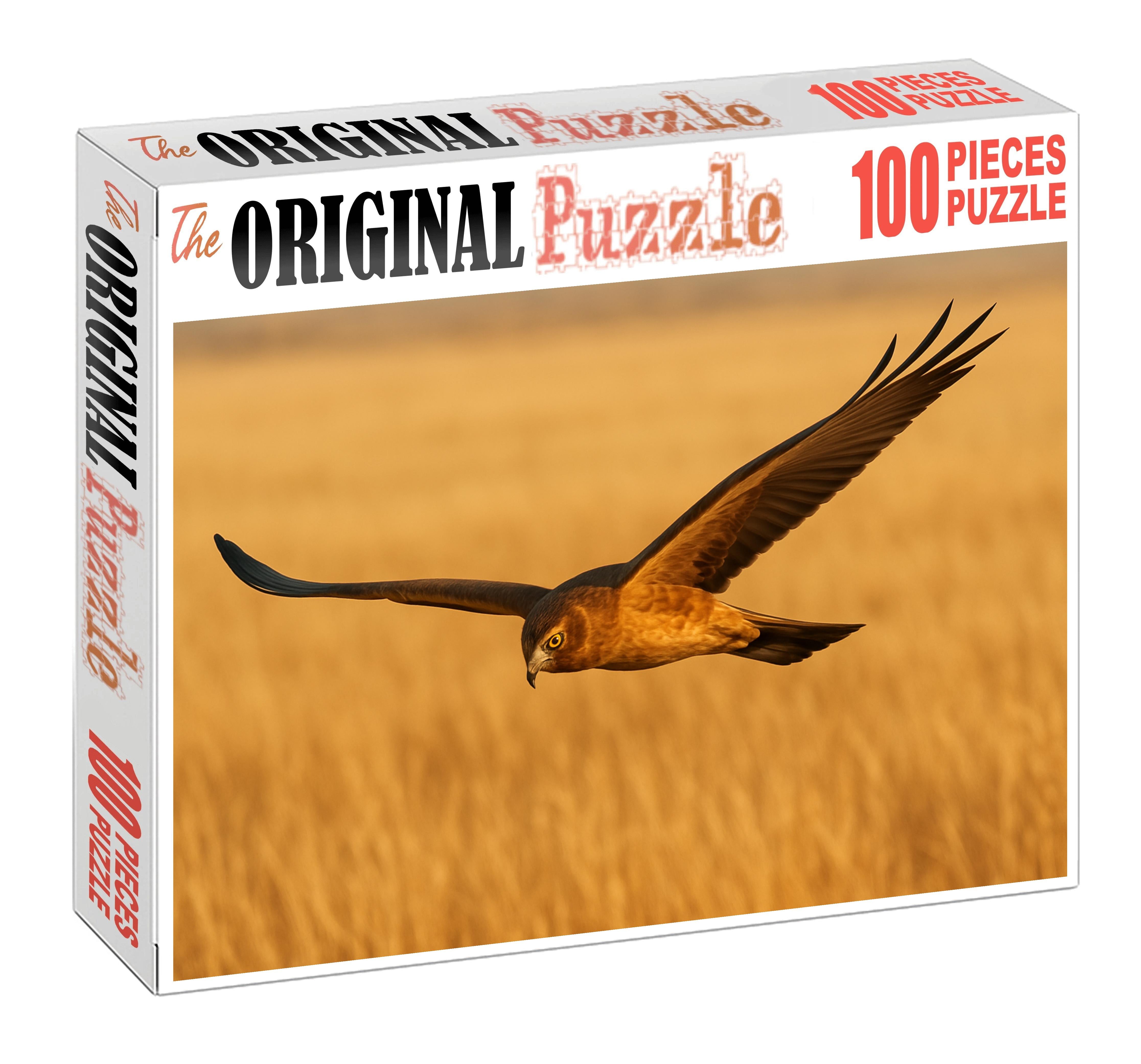 Prairie Falcon Speedy Raptor Of Open Grasslands Challenging Puzzles