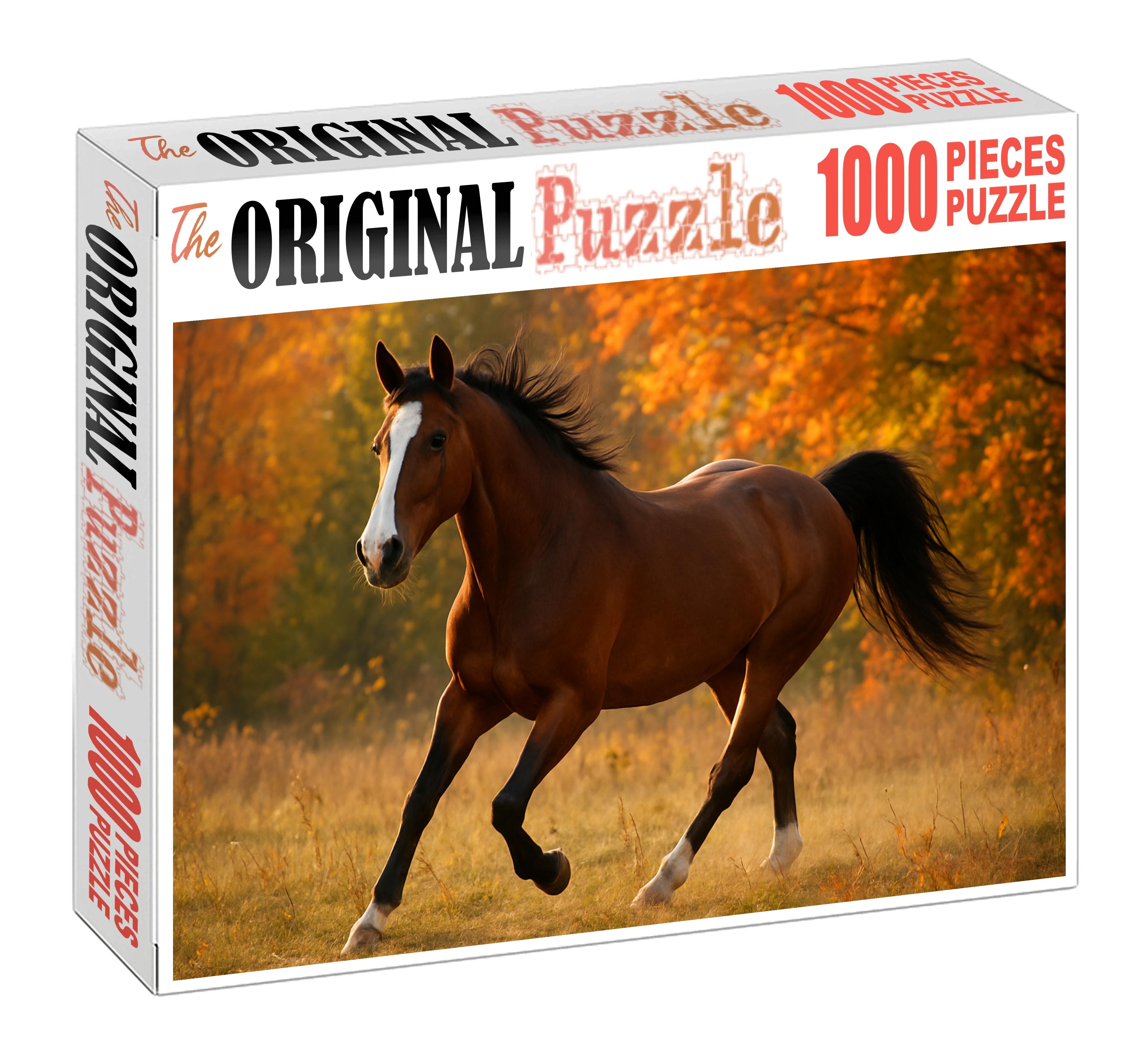 Autumn Blaze Warm Bay Mare With Striking Facial Markings And Agile Disposition Easy Puzzles