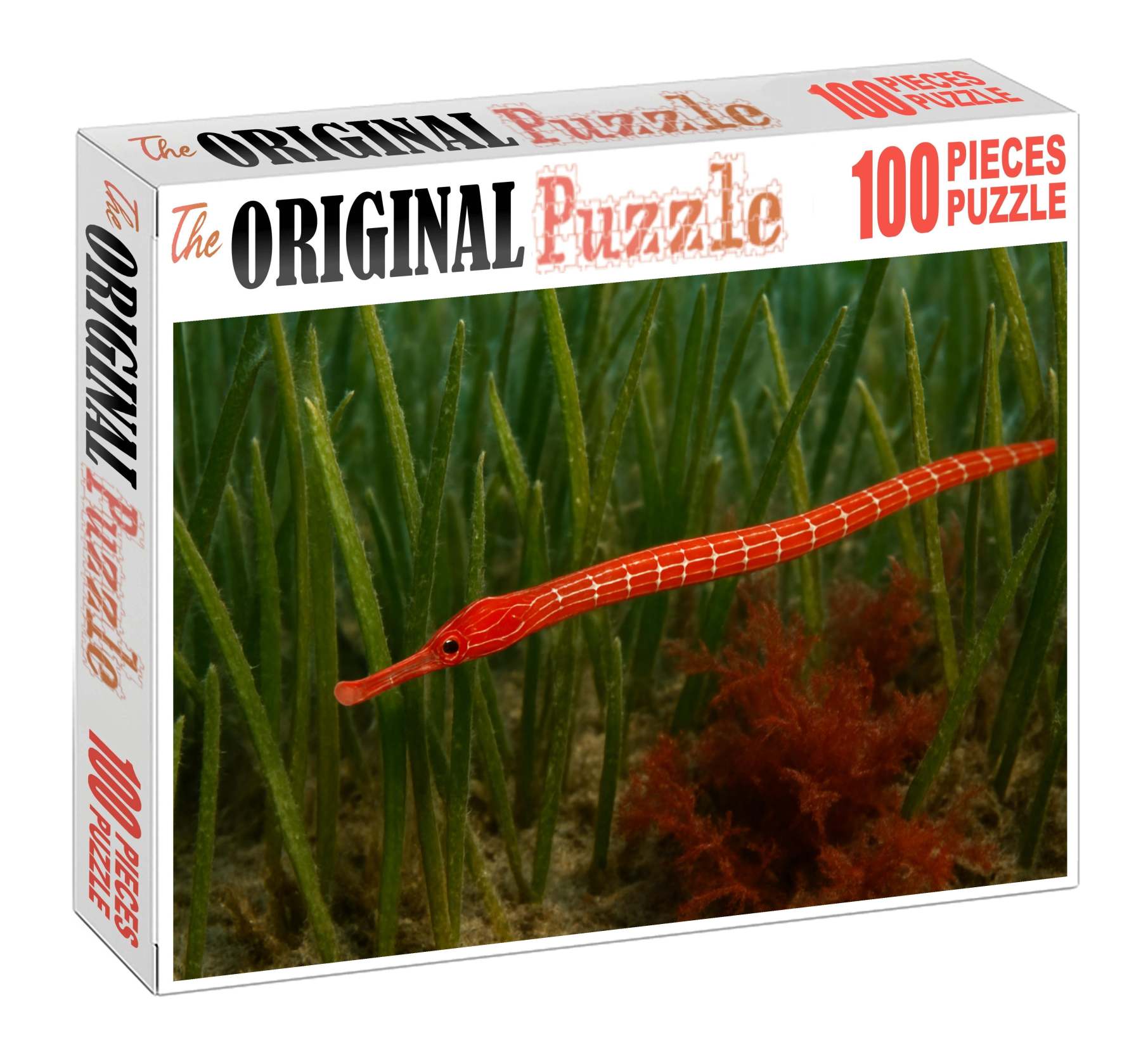 Crimson Pipefish Slender Ambush Predator With Bright Coloring Mini Puzzle
