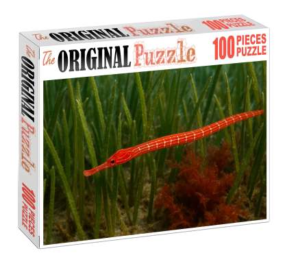 Crimson Pipefish Slender Ambush Predator With Bright Coloring Mini Puzzle