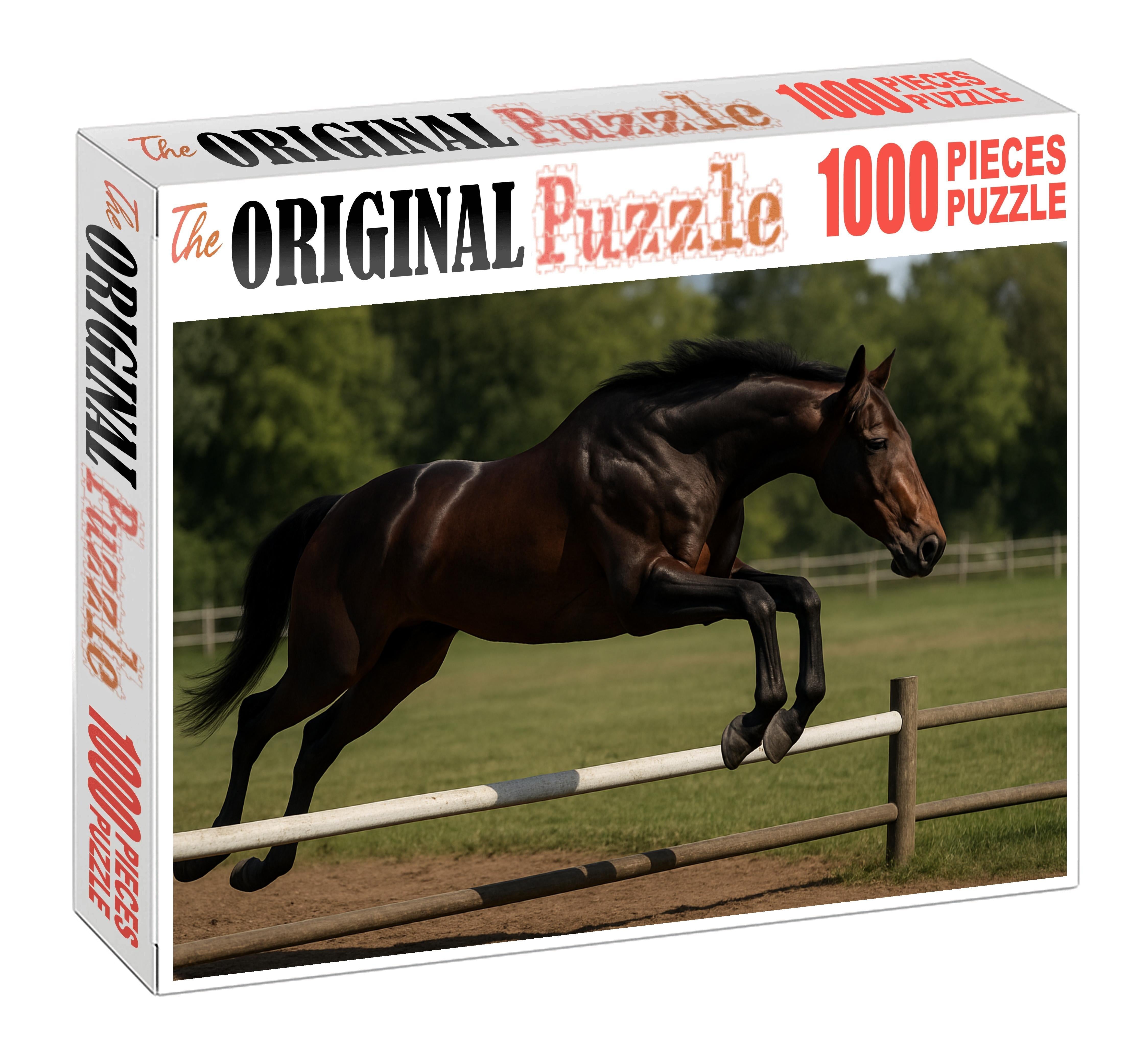 Maple Ridge Warmblood Gelding Challenging Puzzles