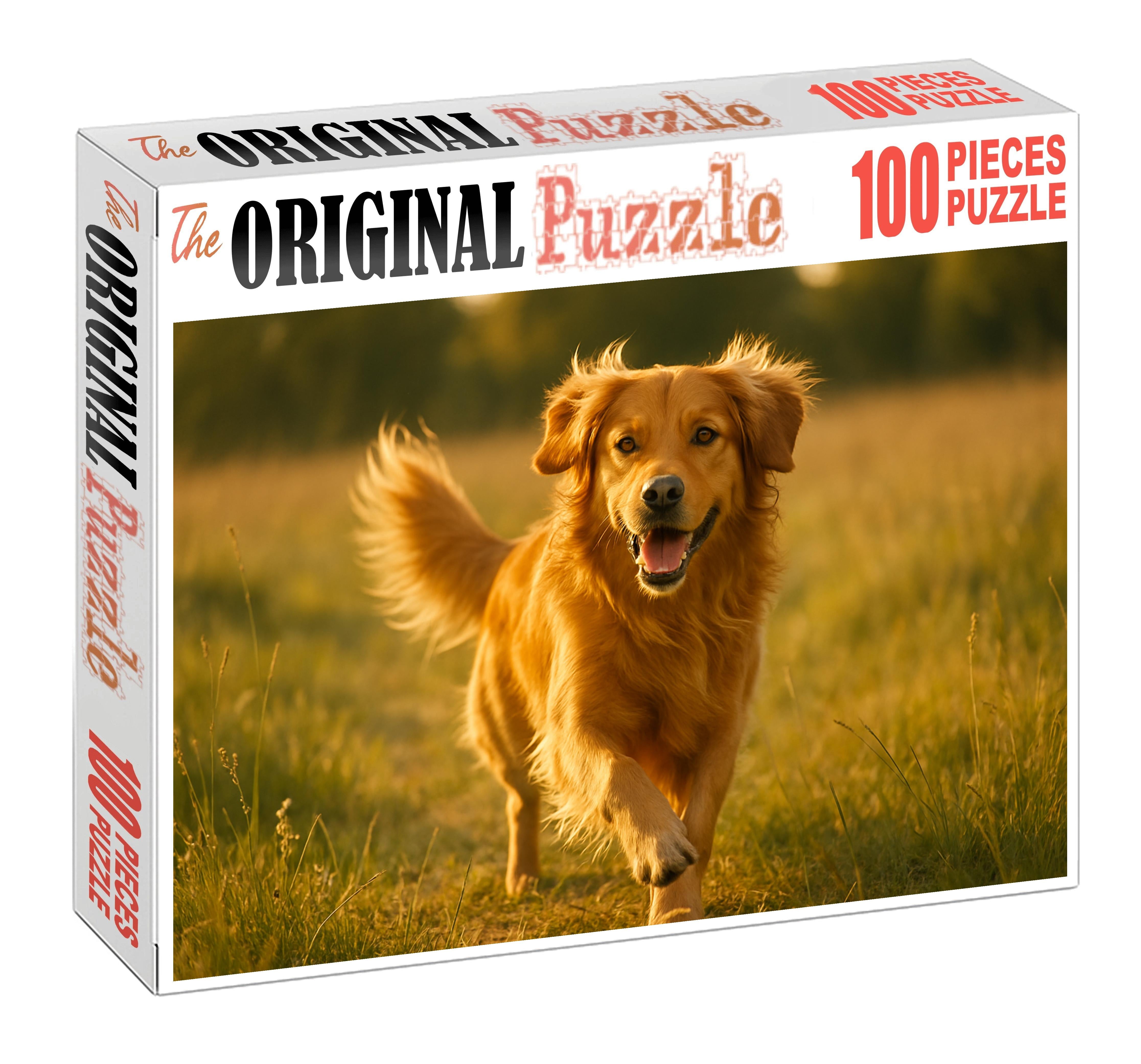 Golden Drift Puzzle Fun