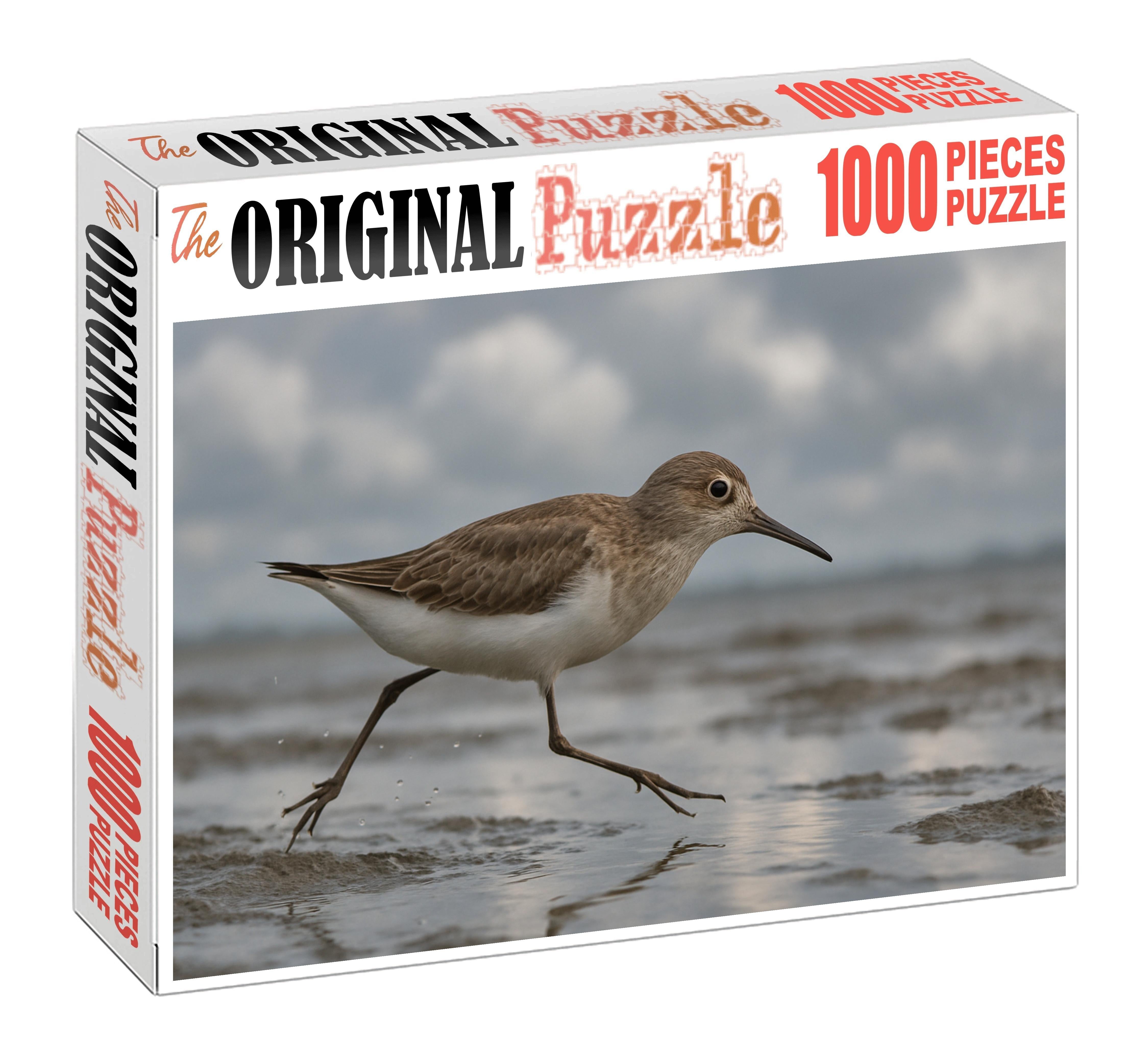 White-rumped Sandpiper Agile Shoreline Specialist Puzzle Fun