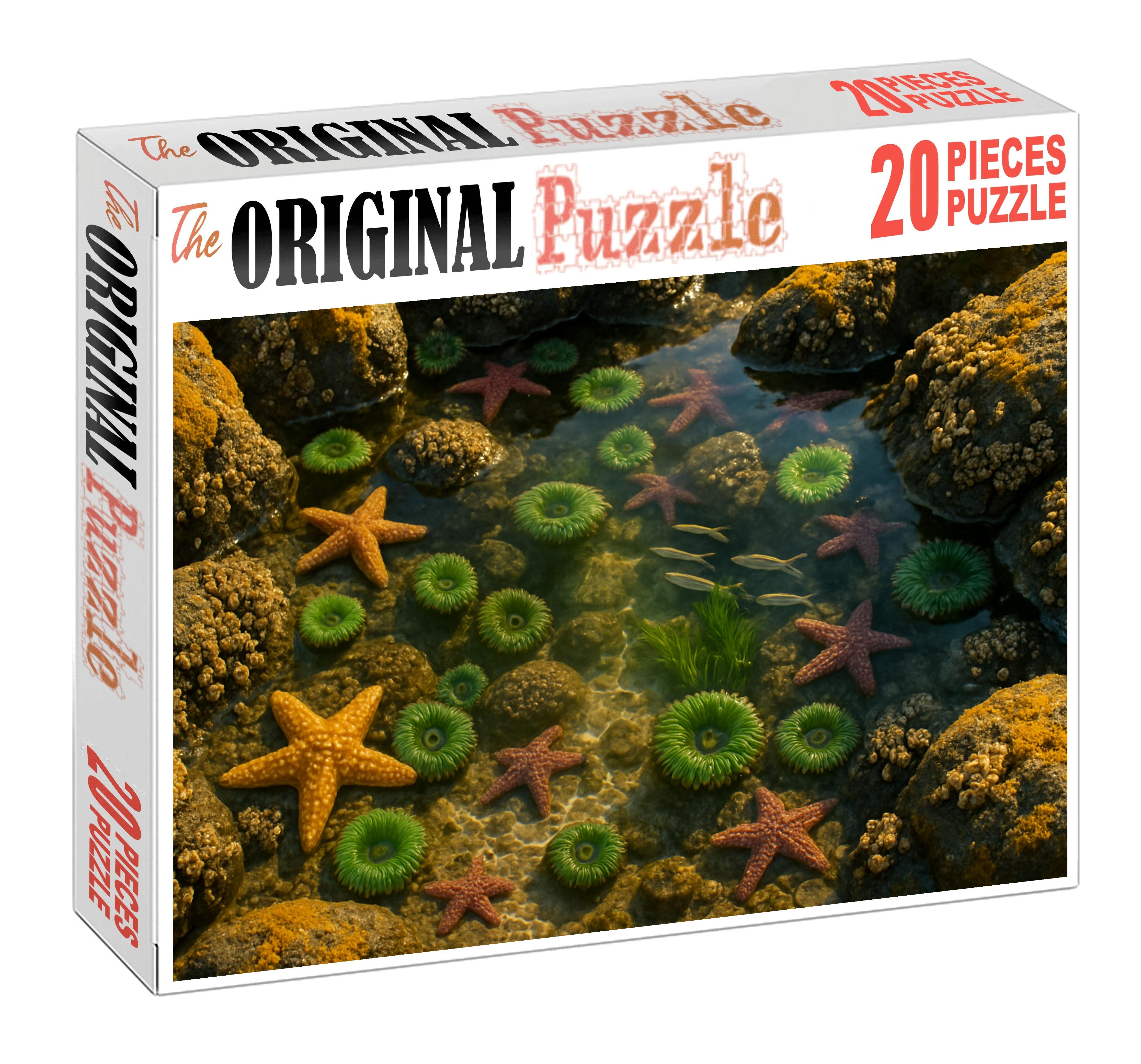 Crystal Tide Pools Vibrant Microhabitats At Rocky Shore Edges 200 Piece Puzzle