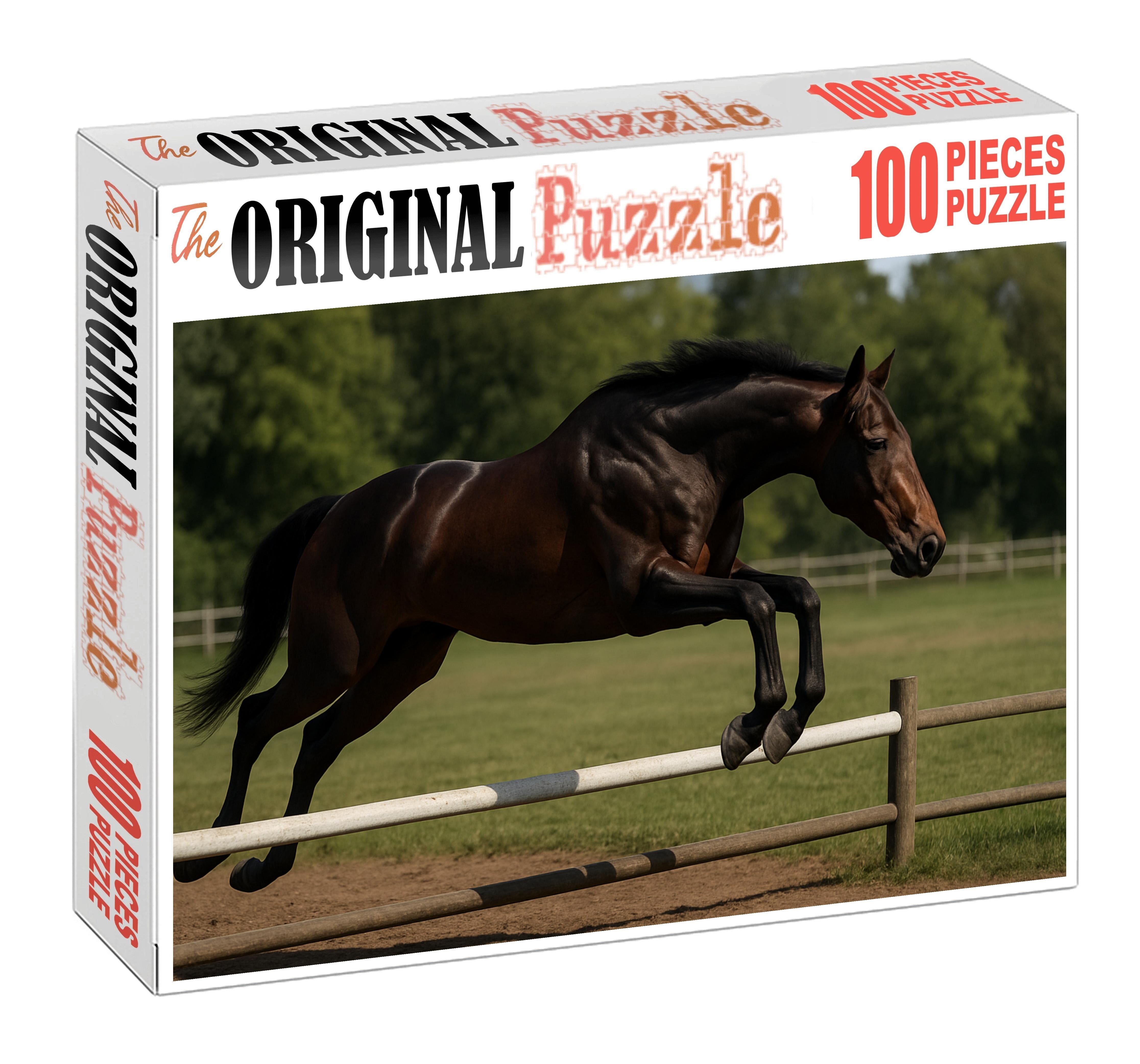 Maple Ridge Warmblood Gelding Challenging Puzzles