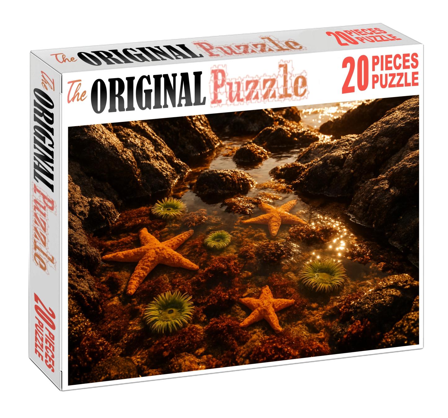 Golden Tide Pools 300 Piece Puzzle