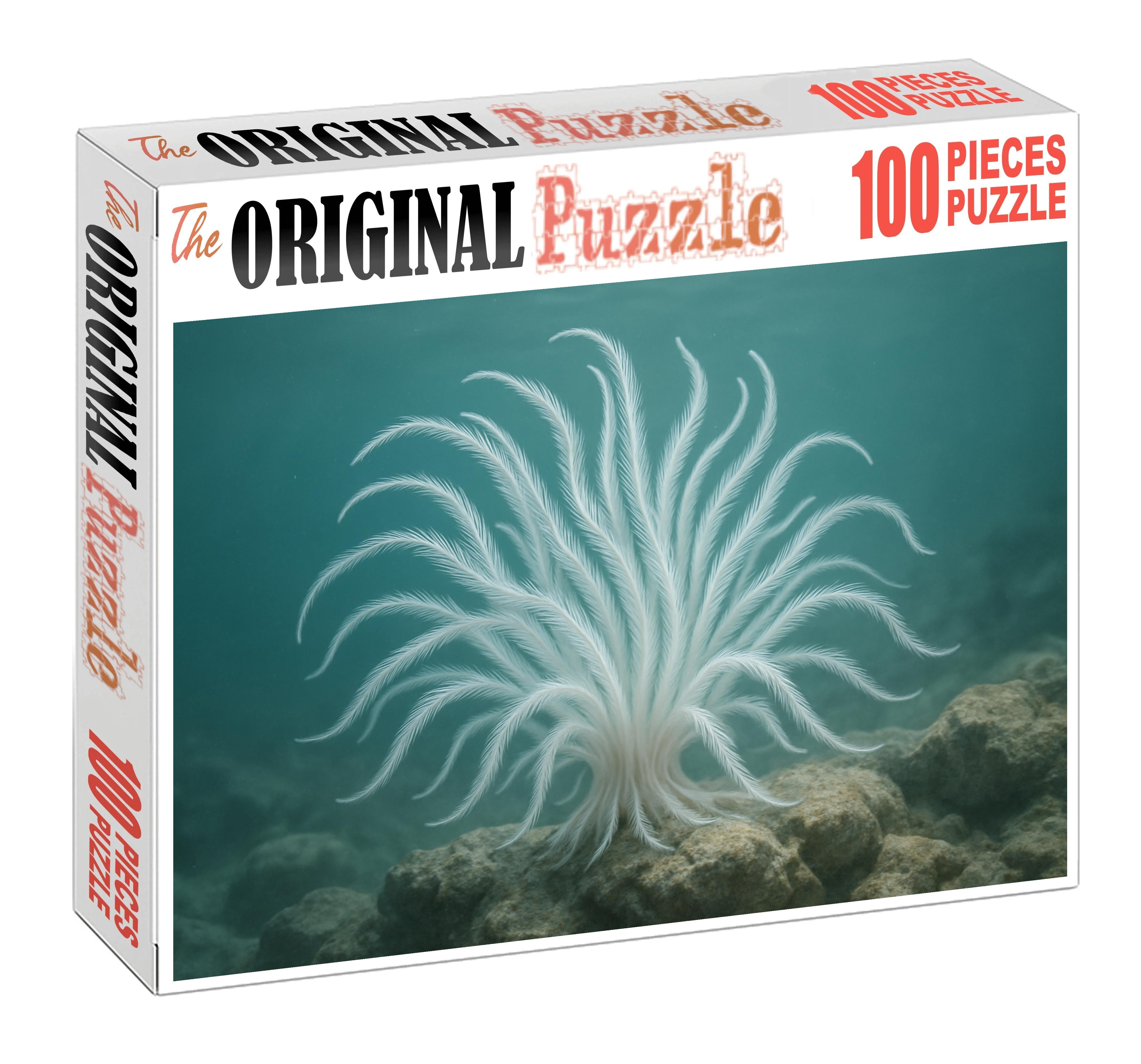Ivory Feather Star Elegant Suspension Filter-feeder Family Puzzles