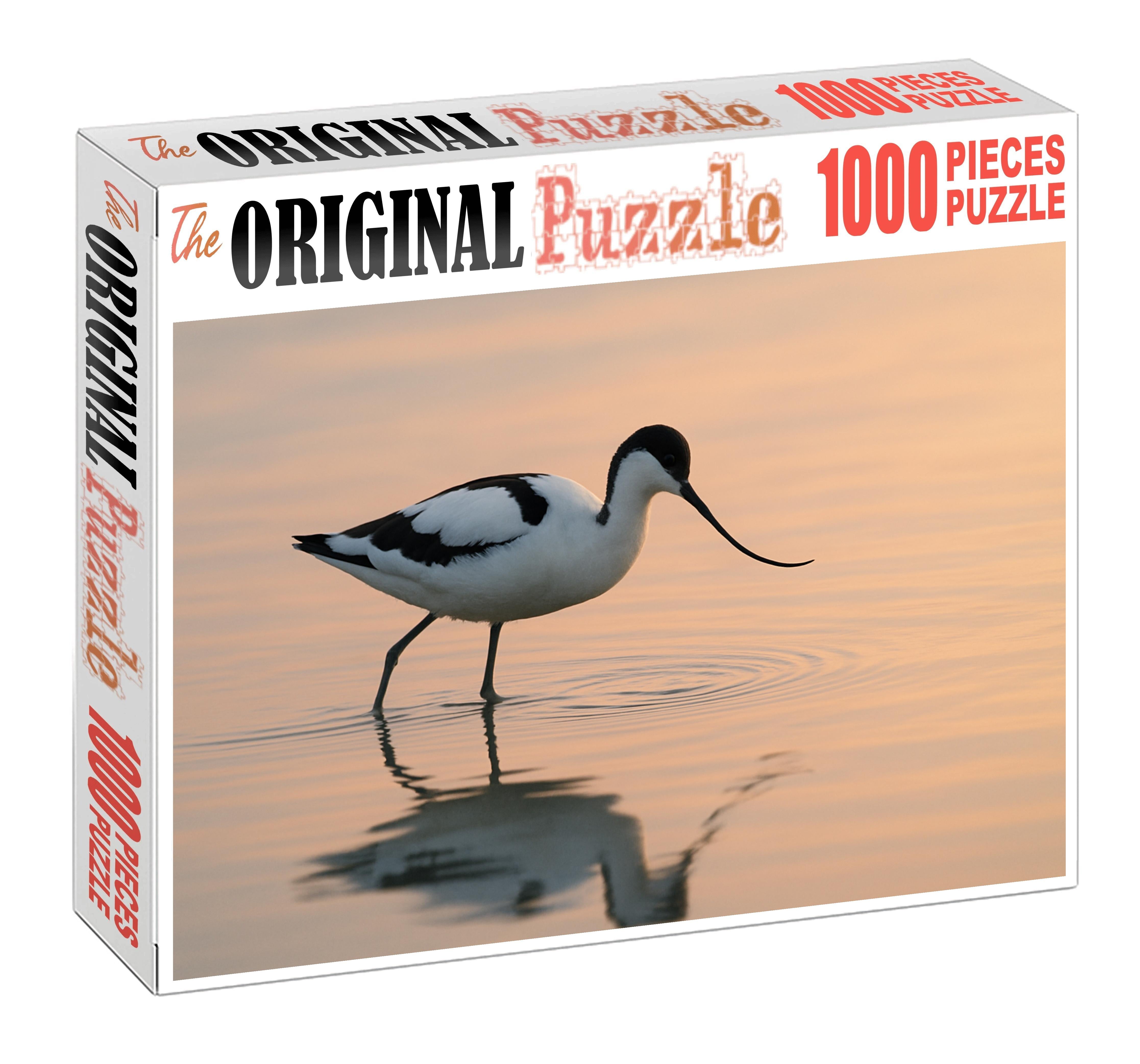 Pied Avocet Graceful Wader Of Shallow Waters Family Puzzles