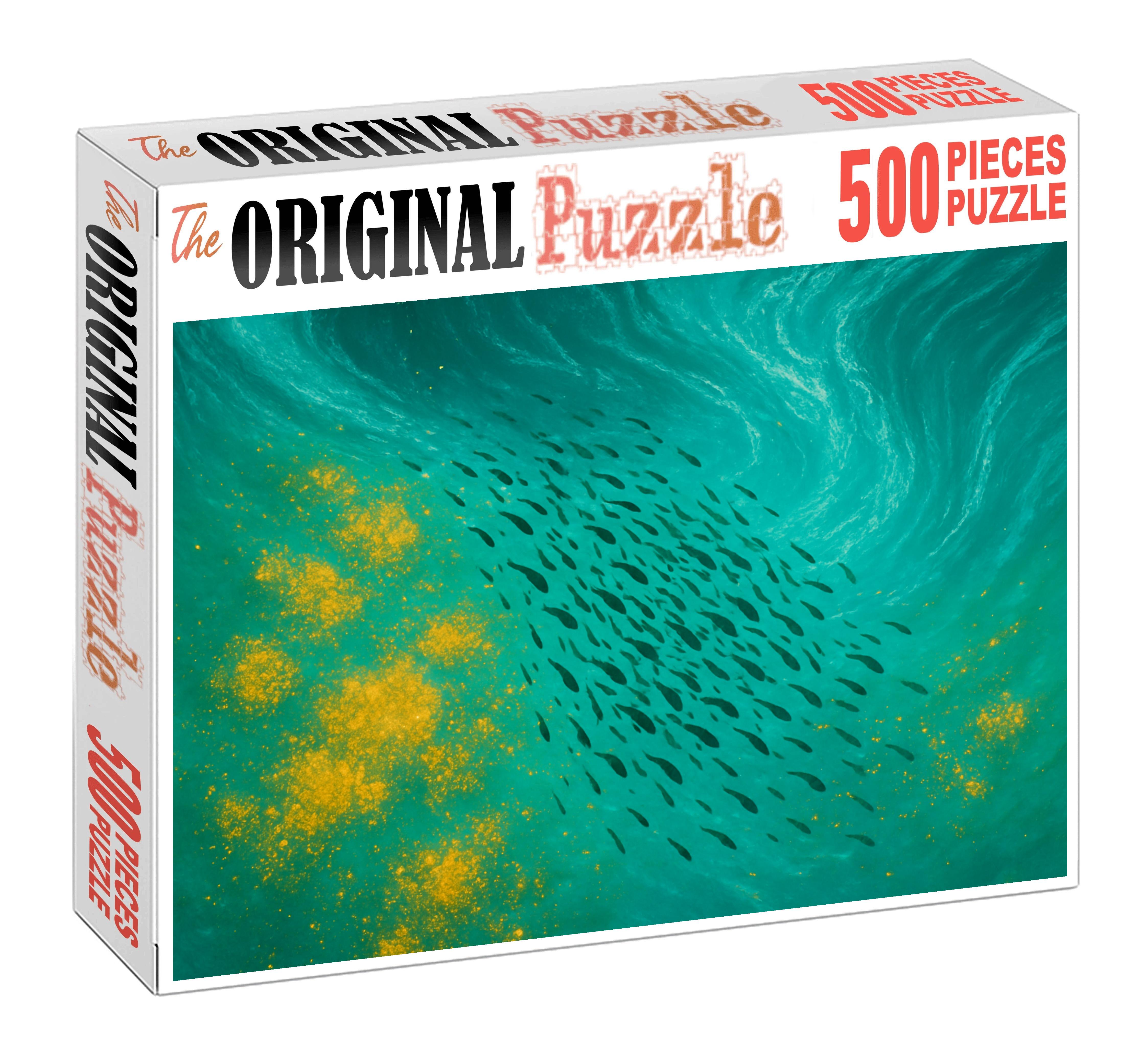 Nutrient-rich Upwelling Front Puzzle Fun