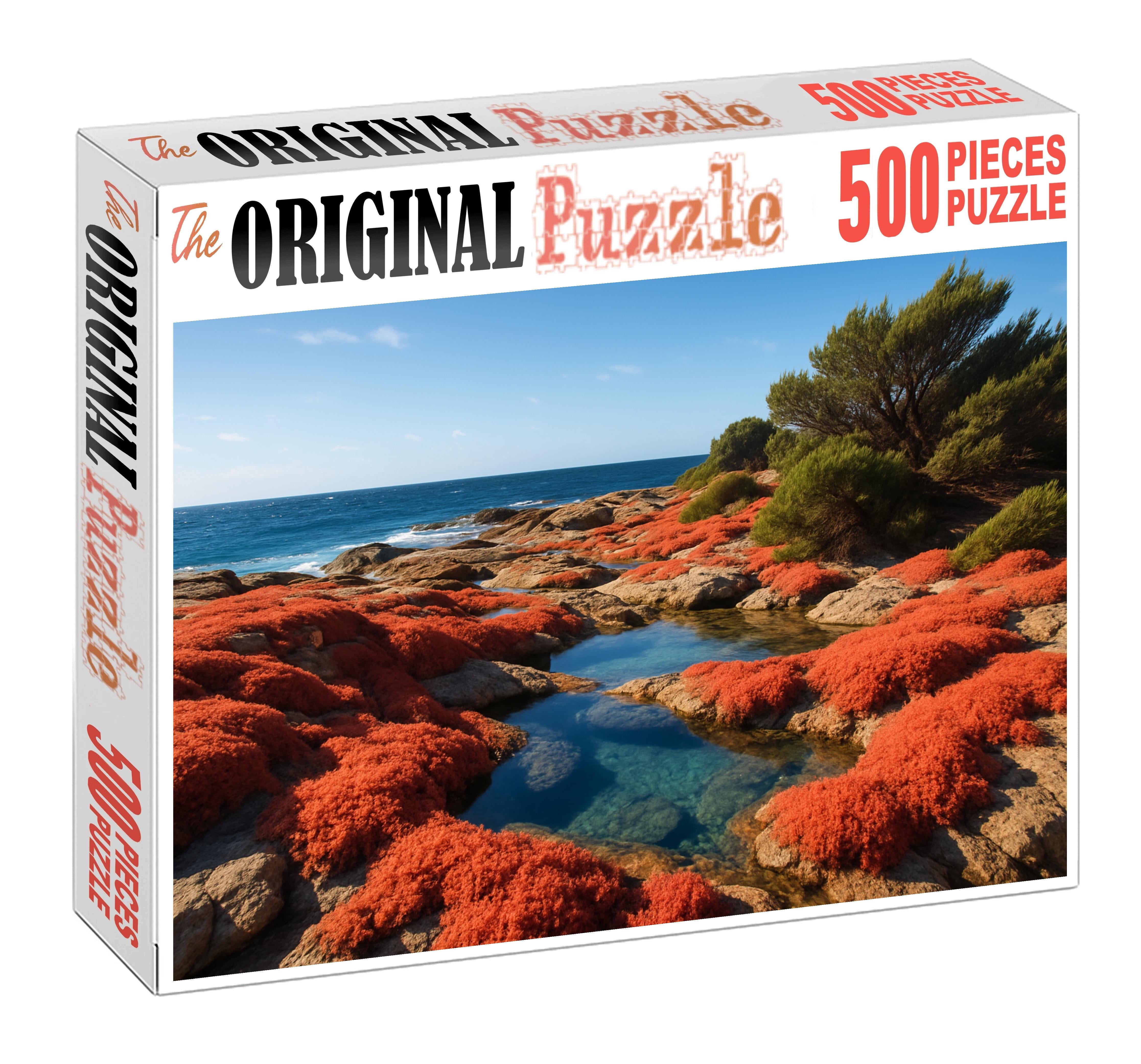 Coral Cove Tides Puzzle Challenge