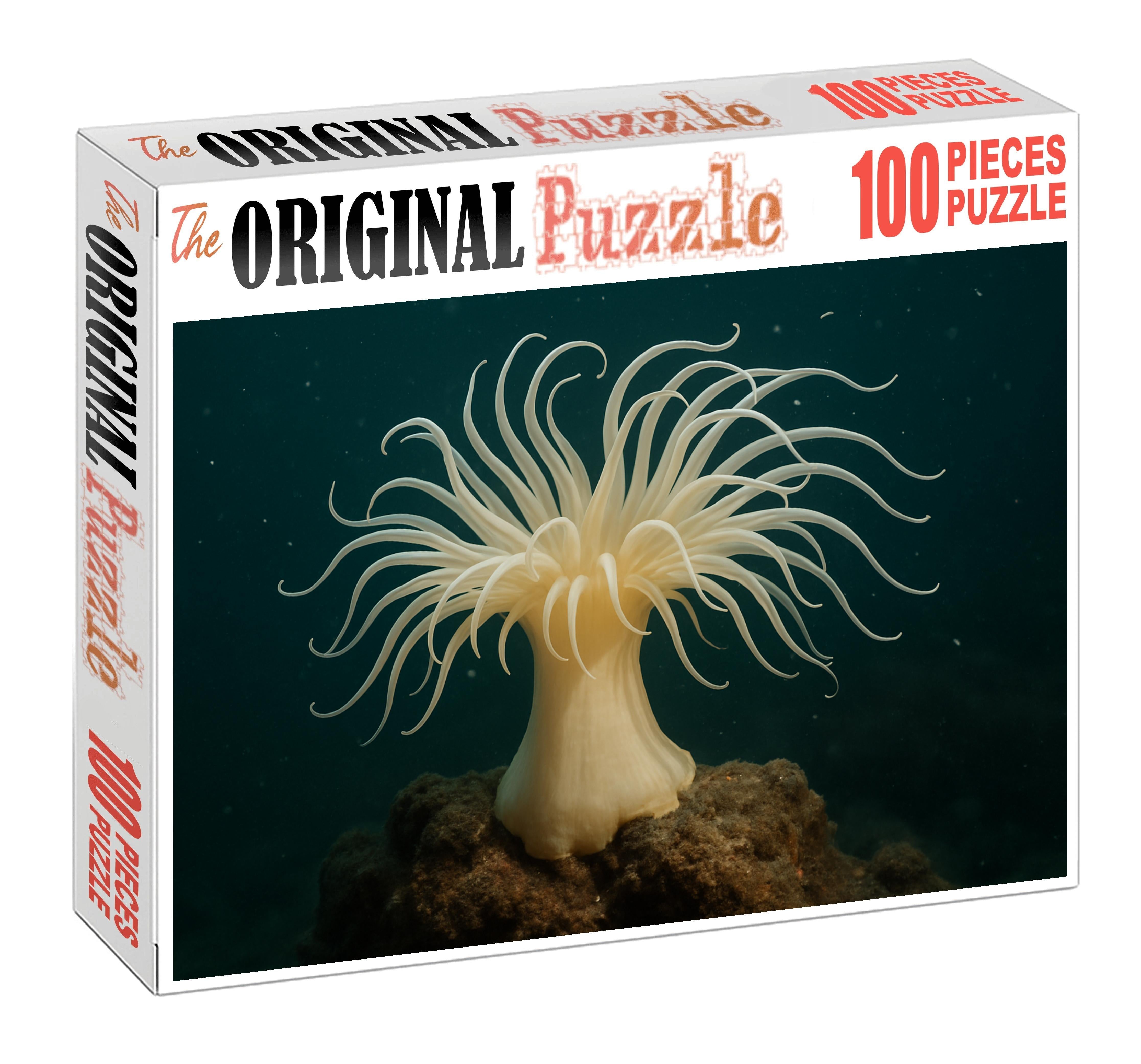 Ivory Tentacle Anemone Stately Polyp With Long Graceful Arms Puzzle Fun