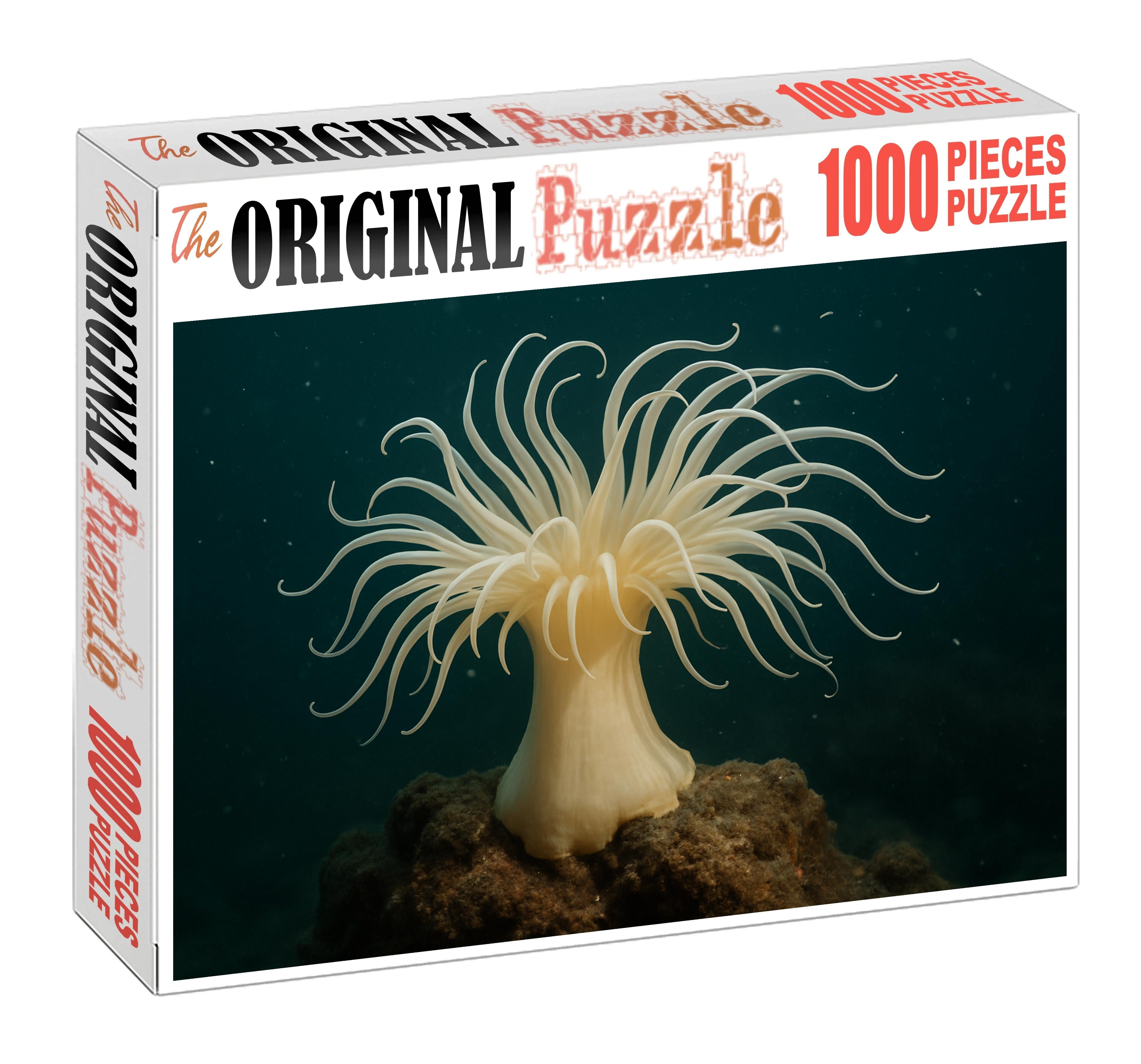 Ivory Tentacle Anemone Stately Polyp With Long Graceful Arms Puzzle Fun