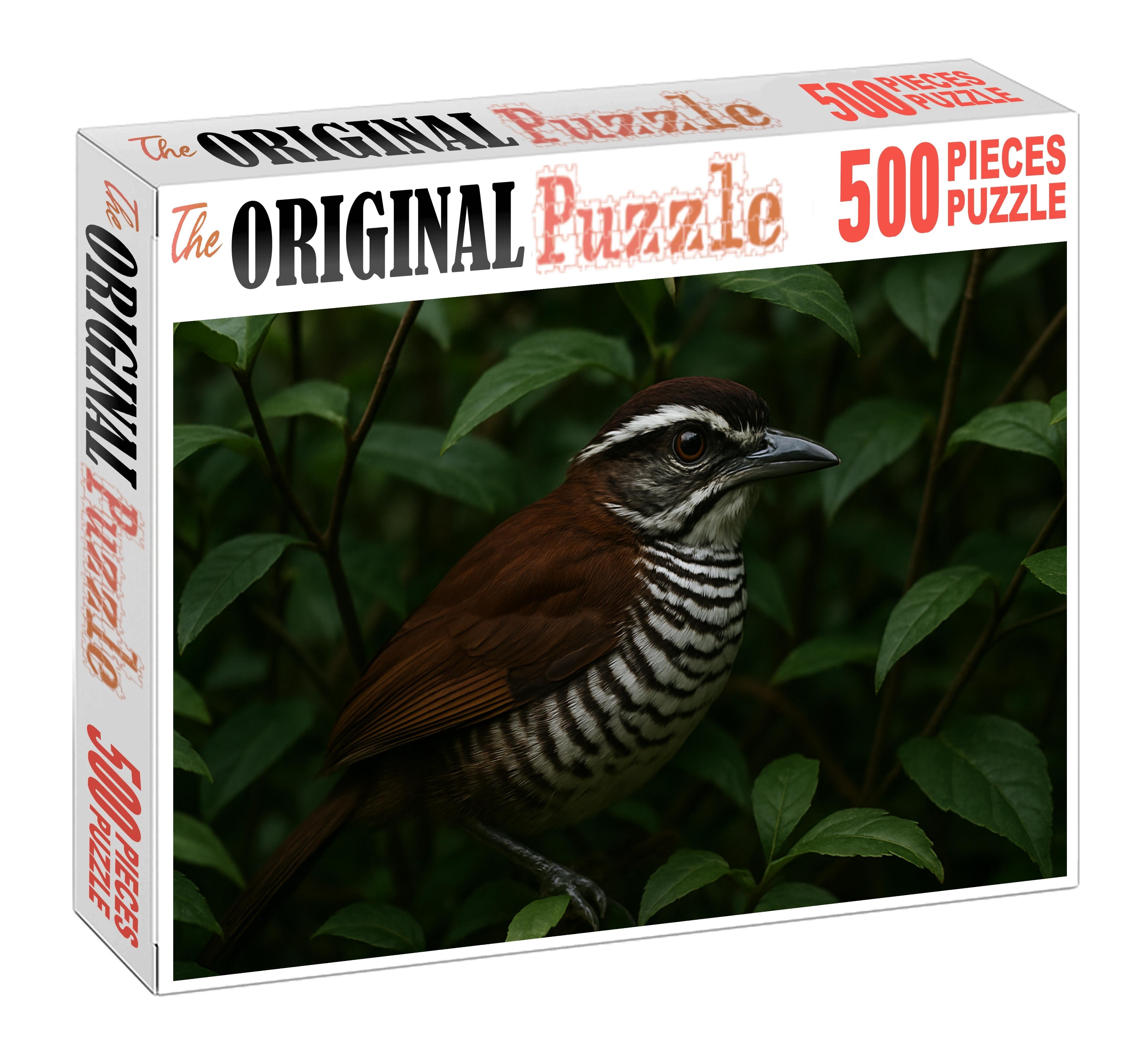 White-striped Puffbird Forests Patient Ambusher Challenging Puzzles