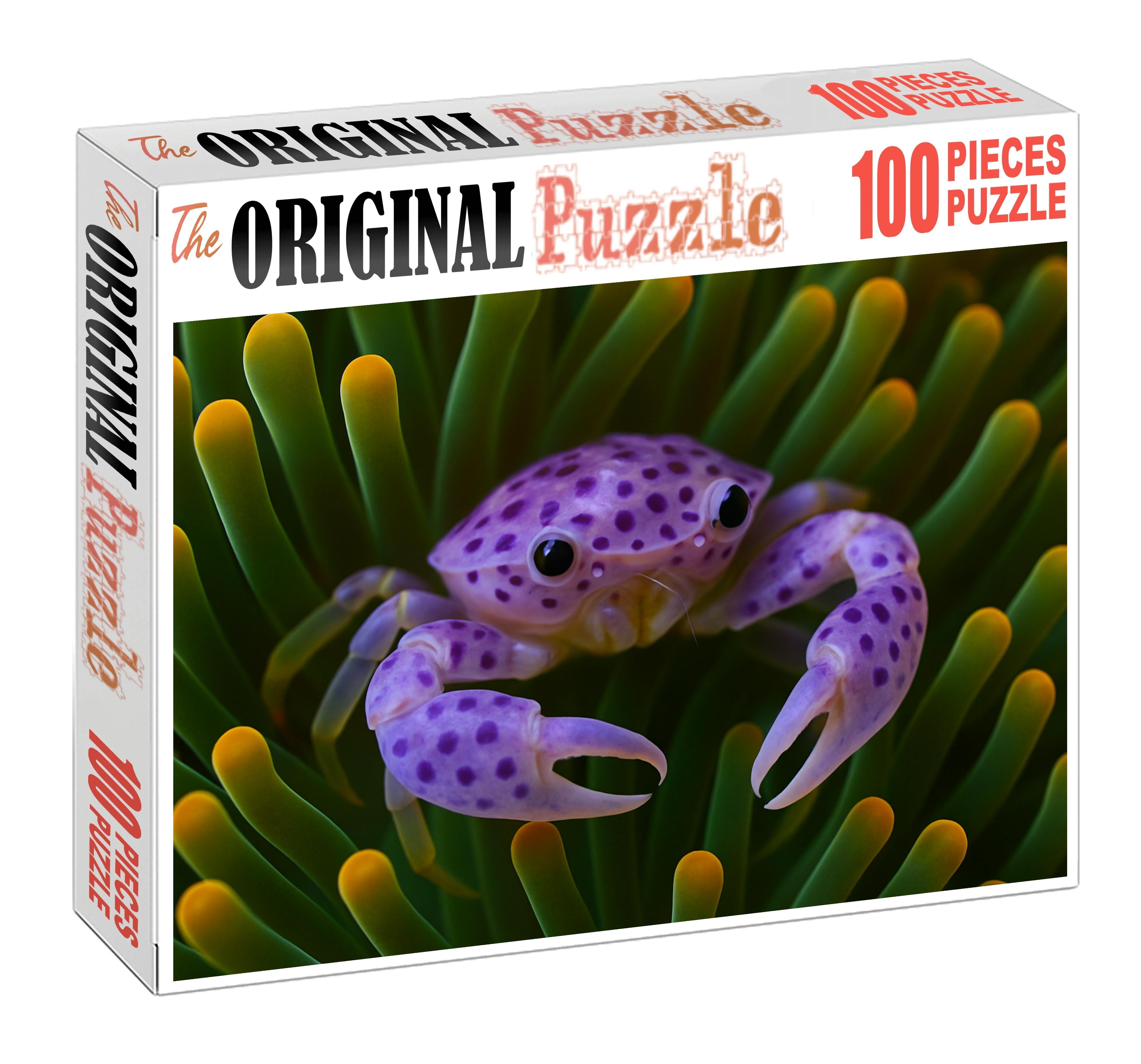 Violet Spotted Anemone Crab Camouflaged Symbiont With Delicate Claws Mini Puzzle