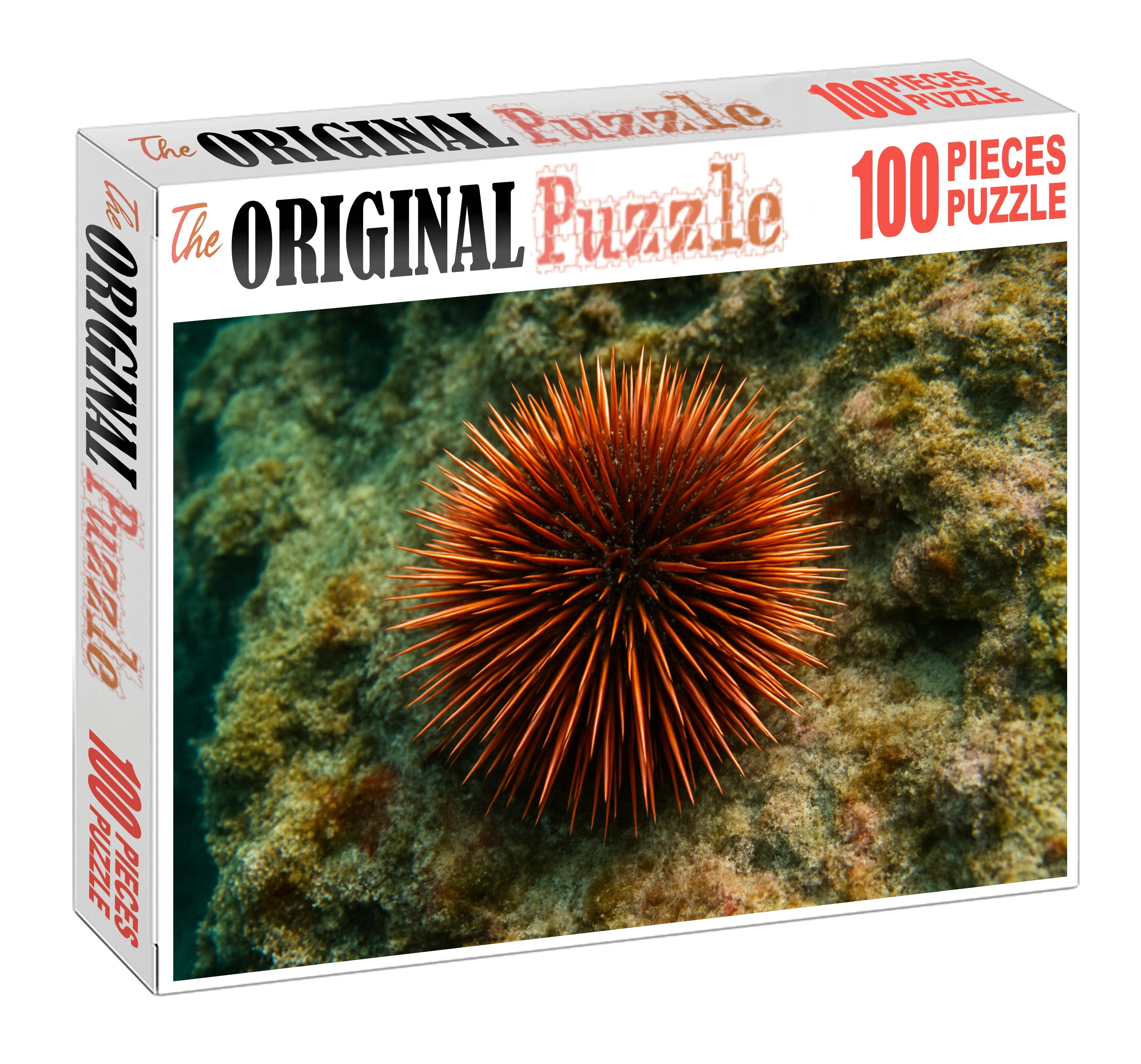 Copper-spined Sea Urchin Armored Forager With Brilliant Metallic Hues Puzzle For Adults