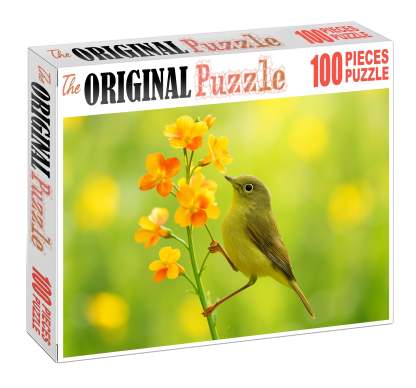 Olive-backed Sunbird Tiny Nectar Collector Challenging Puzzles