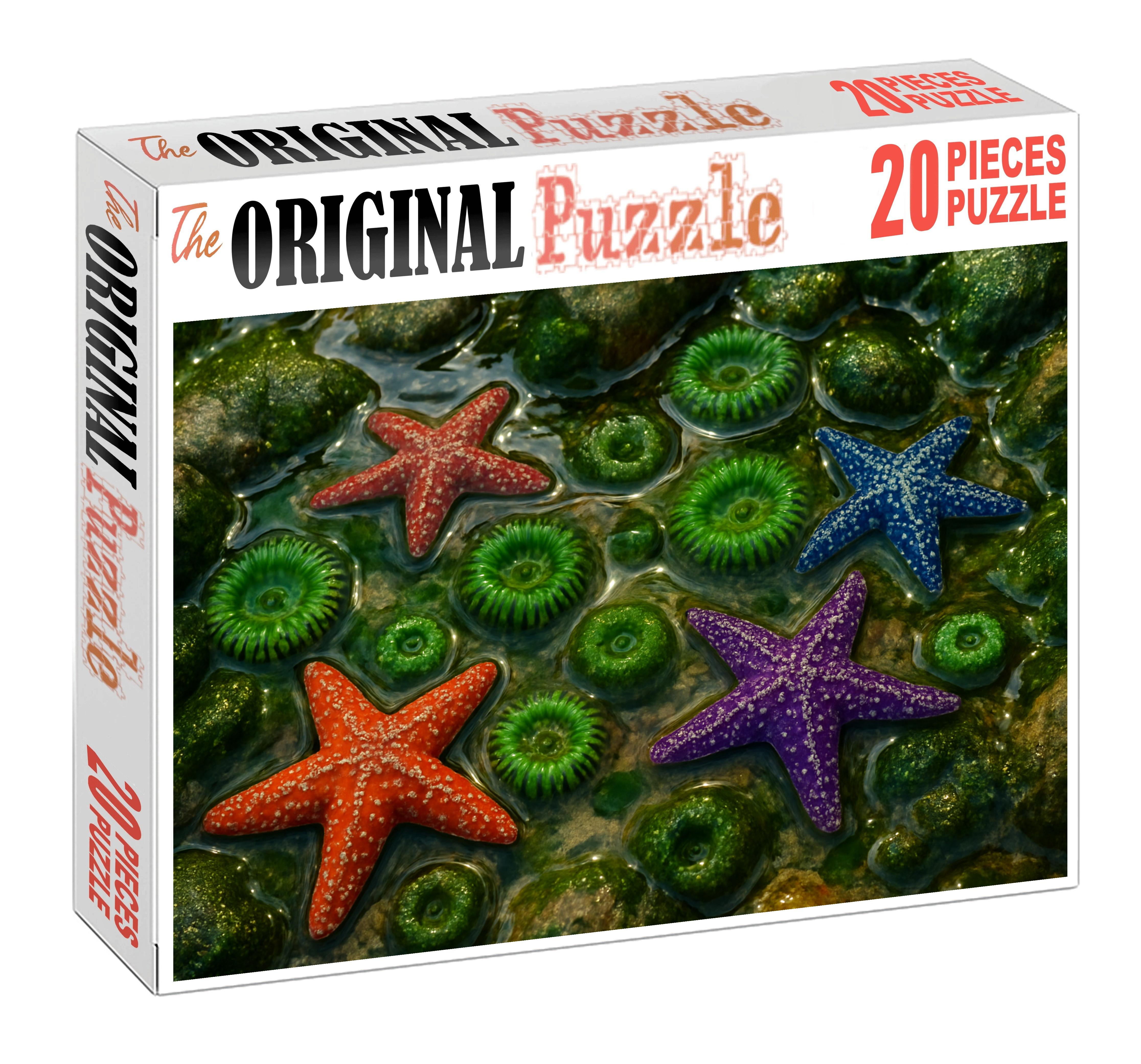 Silver Tide Pool Mosaic Puzzle Fun