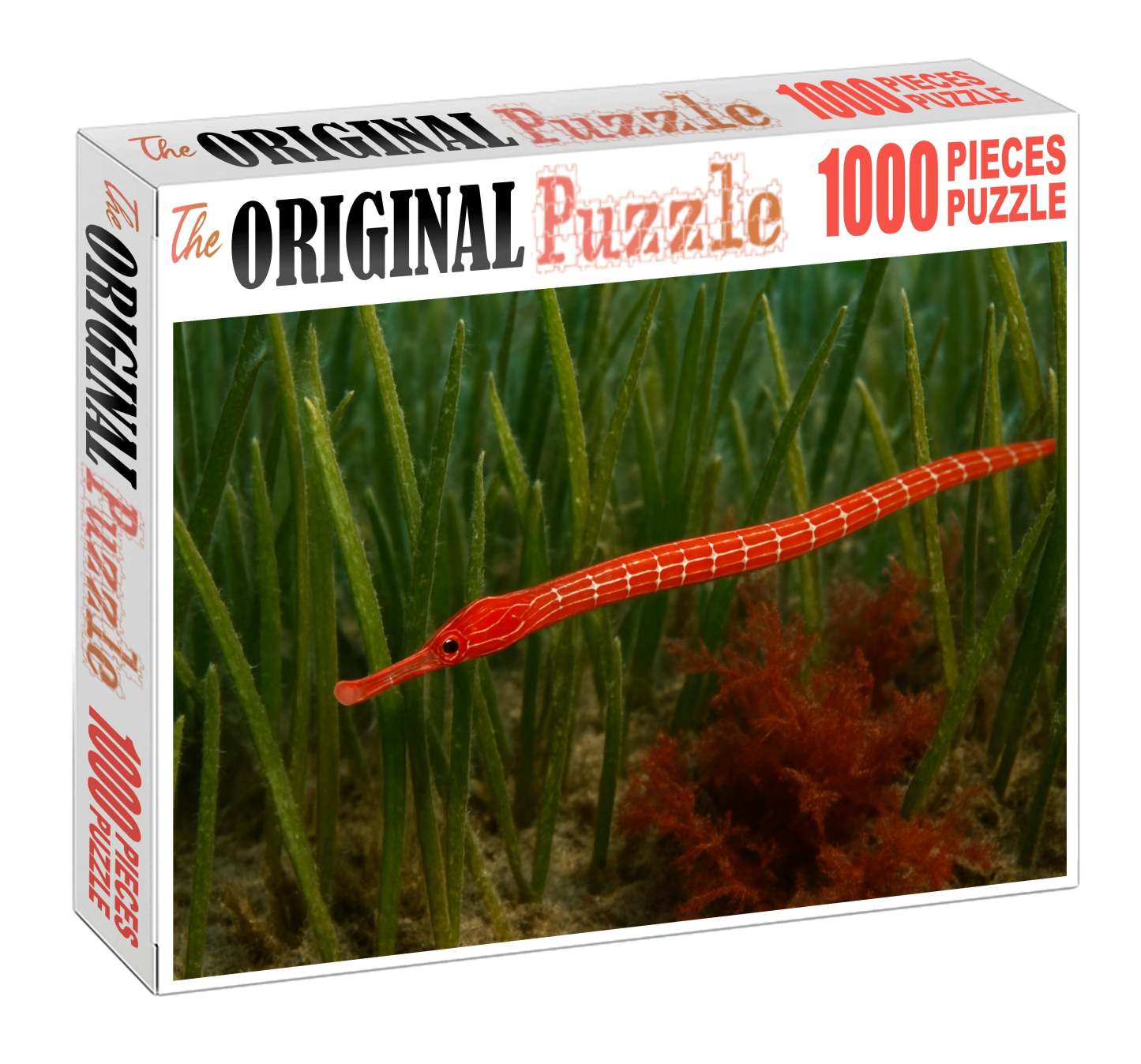 Crimson Pipefish Slender Ambush Predator With Bright Coloring Mini Puzzle