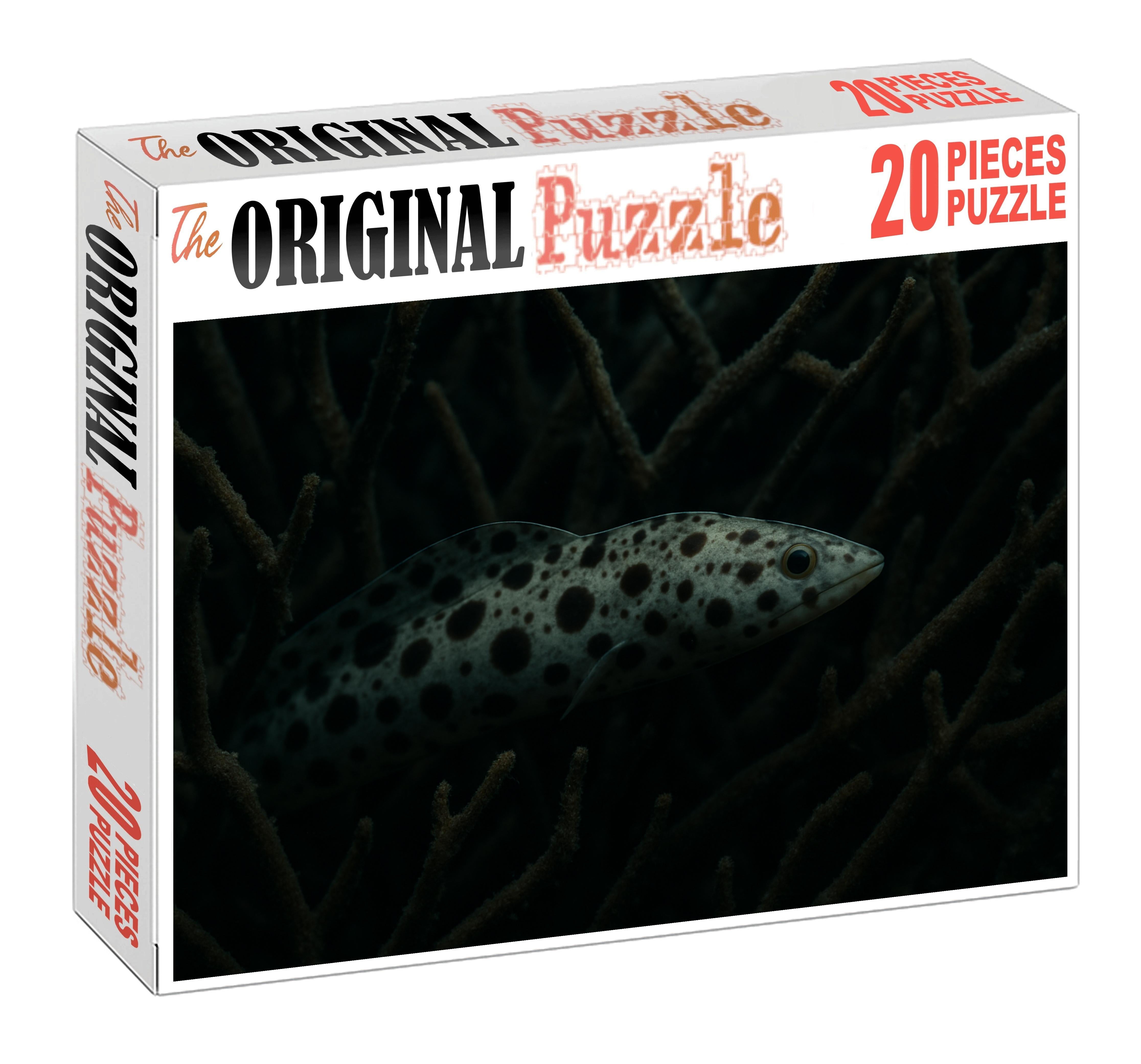 Spotted Reef Pipefish Elongated Camouflage Specialist Easy Puzzles