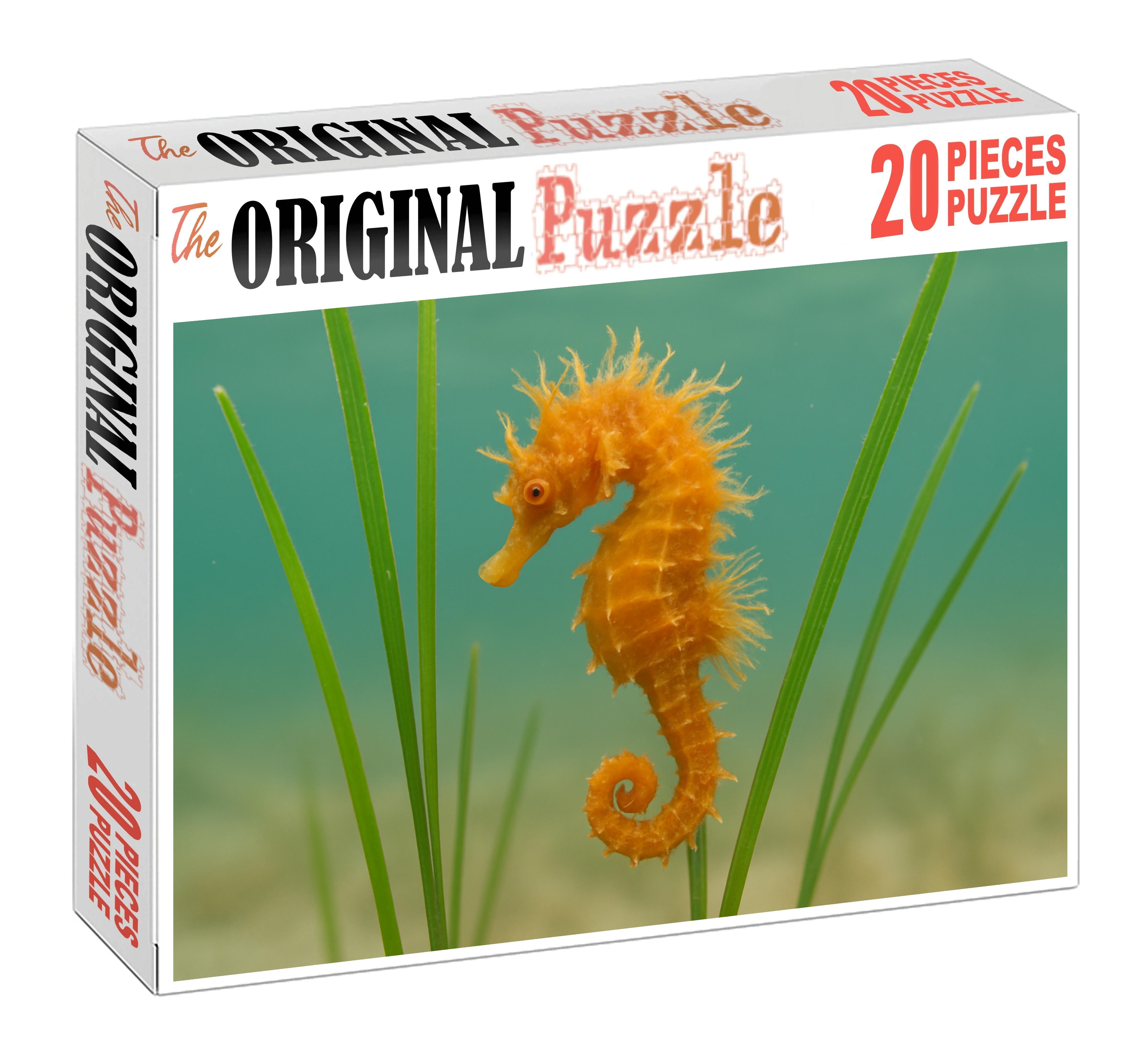 Amber-tufted Seahorse Tiny Ornamental Fish With Delicate Appendages Mini Puzzle