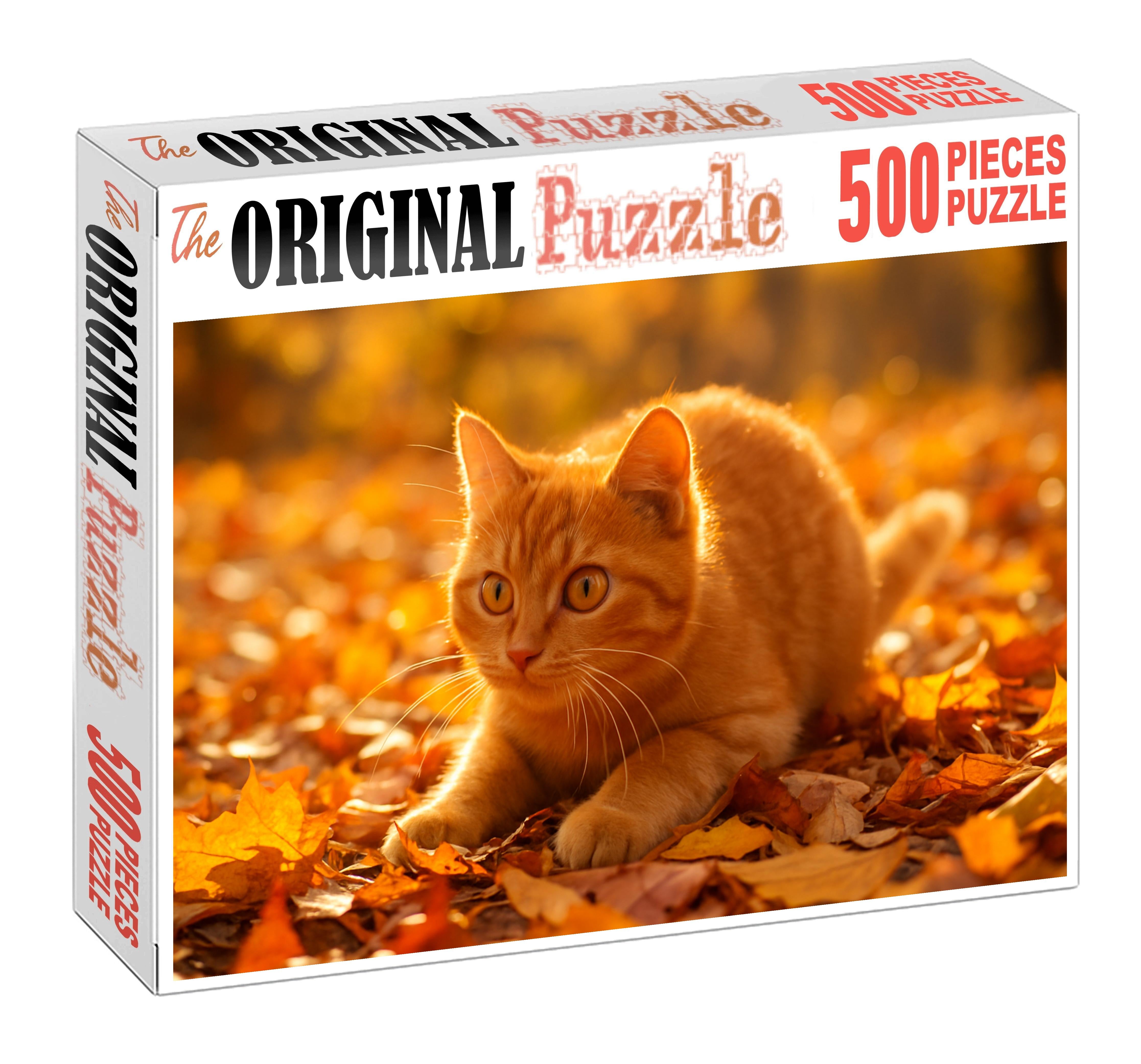 Golden Glimmer Shimmering Yellow-orange Shorthair With Playful Heart Challenging Puzzles