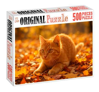 Golden Glimmer Shimmering Yellow-orange Shorthair With Playful Heart Challenging Puzzles