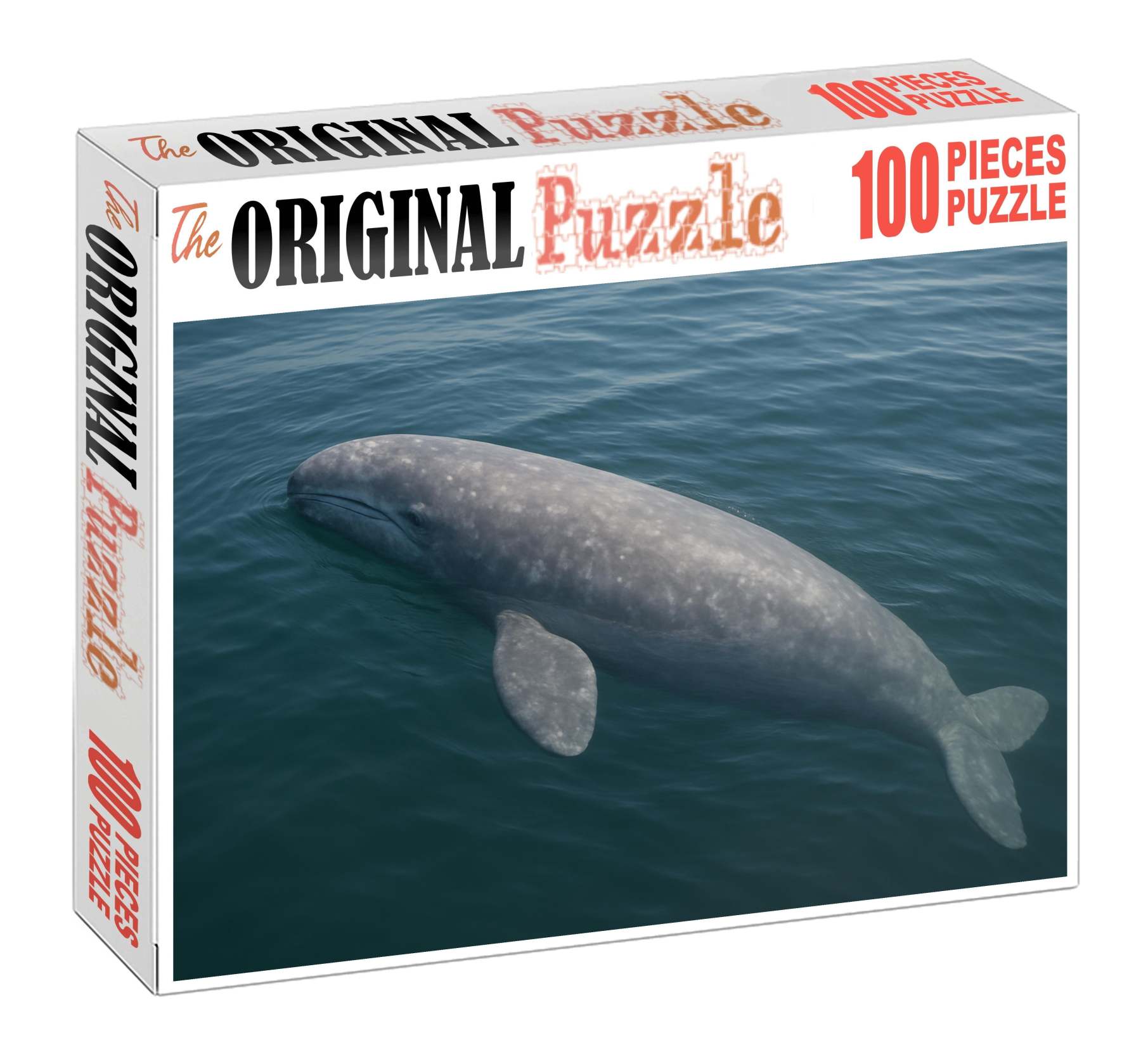 Dusky Fin Whale Calf Gentle Giant In Early Growth Family Puzzles