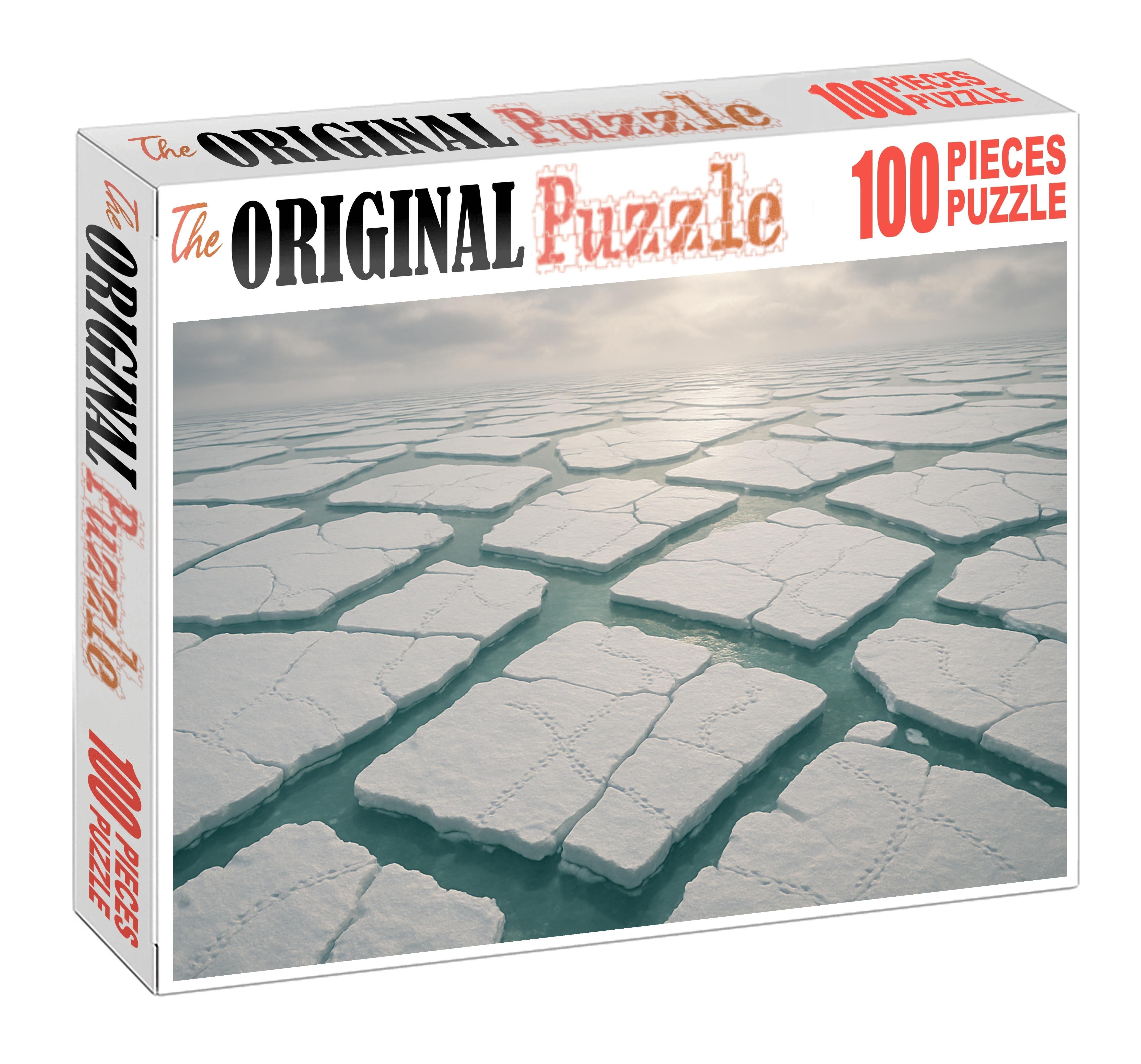 Frosted Ice Floe Edge 100 Piece Puzzle