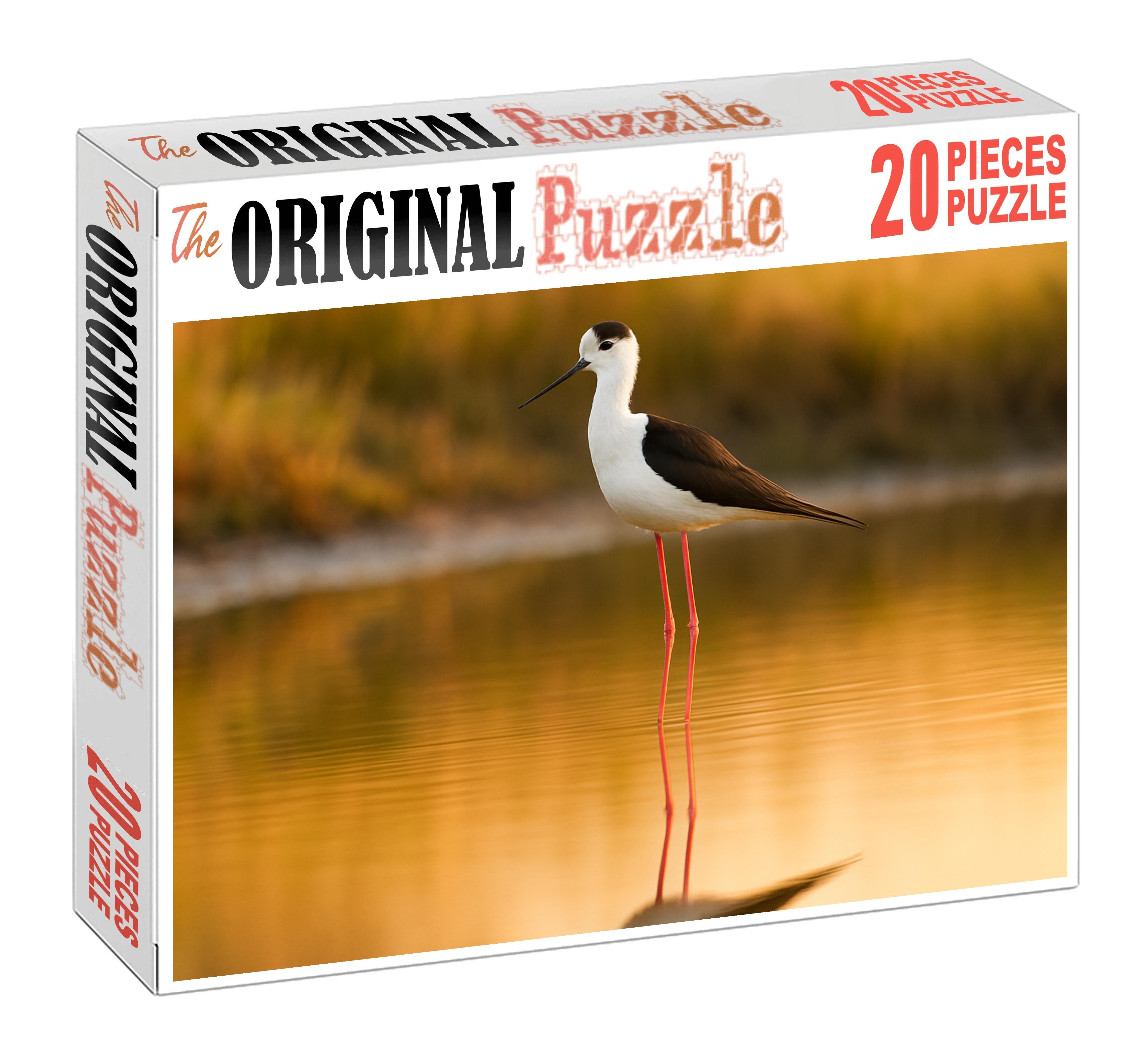 Black-winged Stilt Elegant Long-legged Wader Family Puzzles