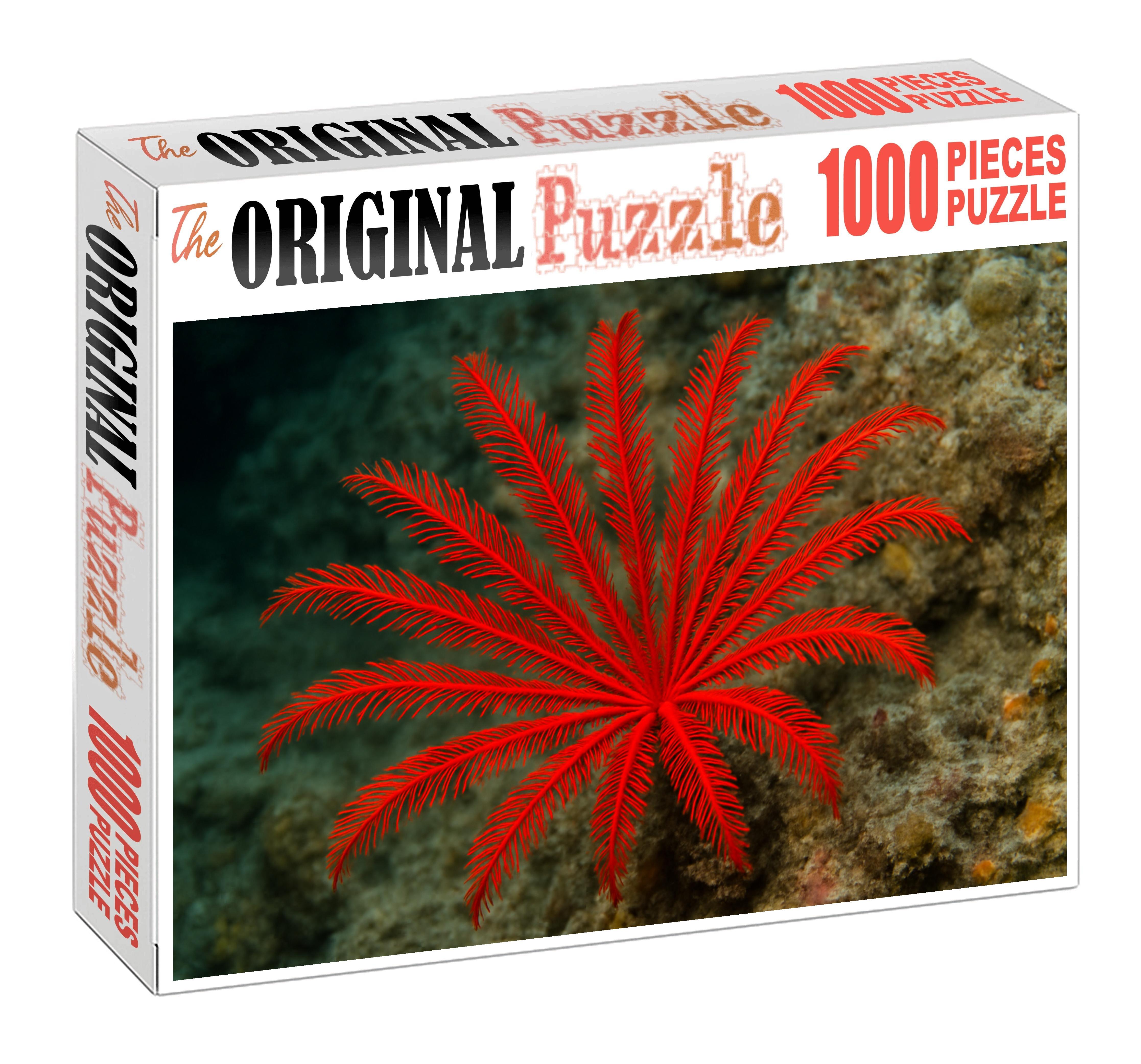 Crimson Feather Star Drifting Filter-feeder Challenging Puzzles
