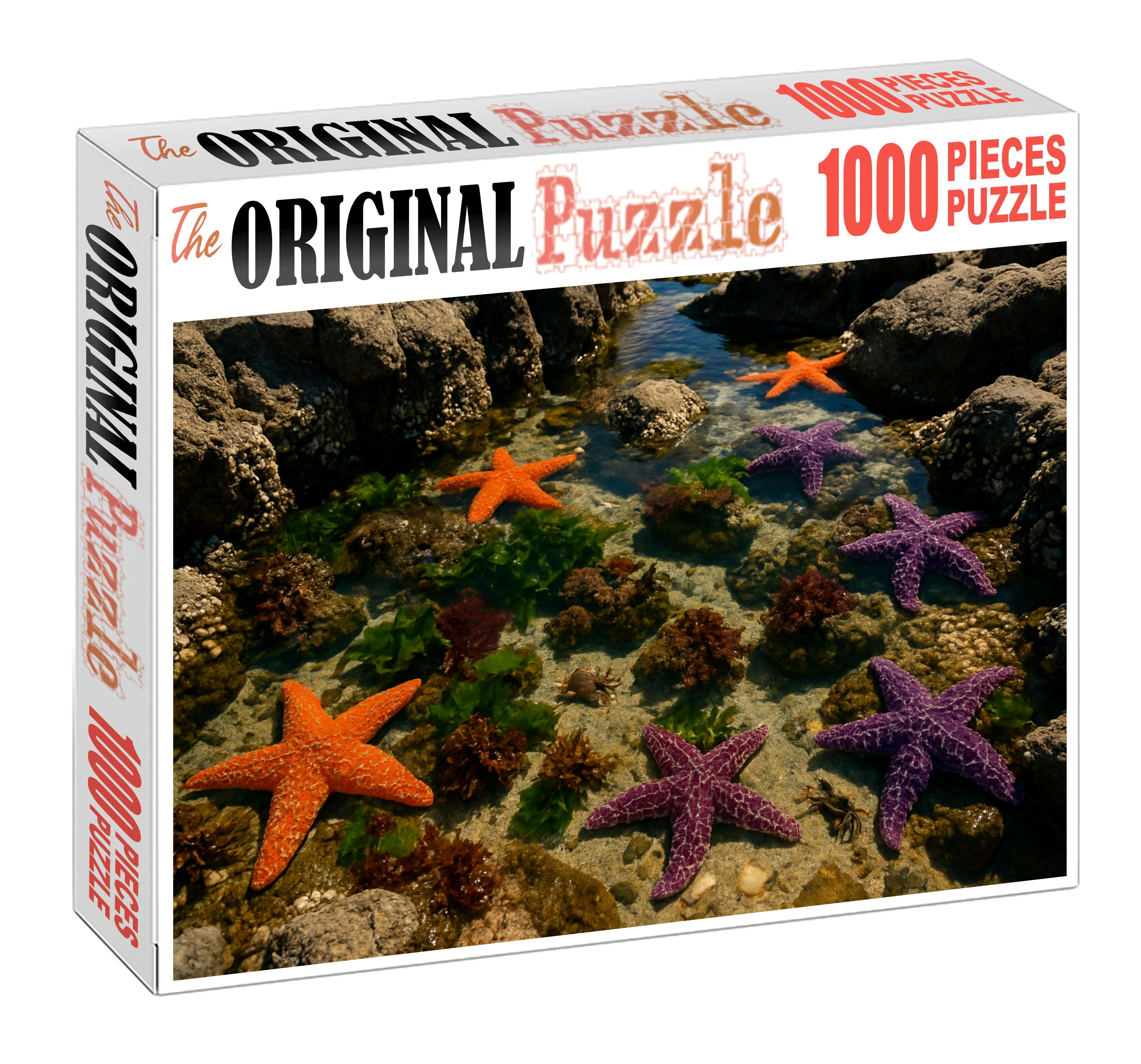 Crystal Tide Pools Rocky Pools Rich With Intertidal Creatures 50 Piece Puzzle