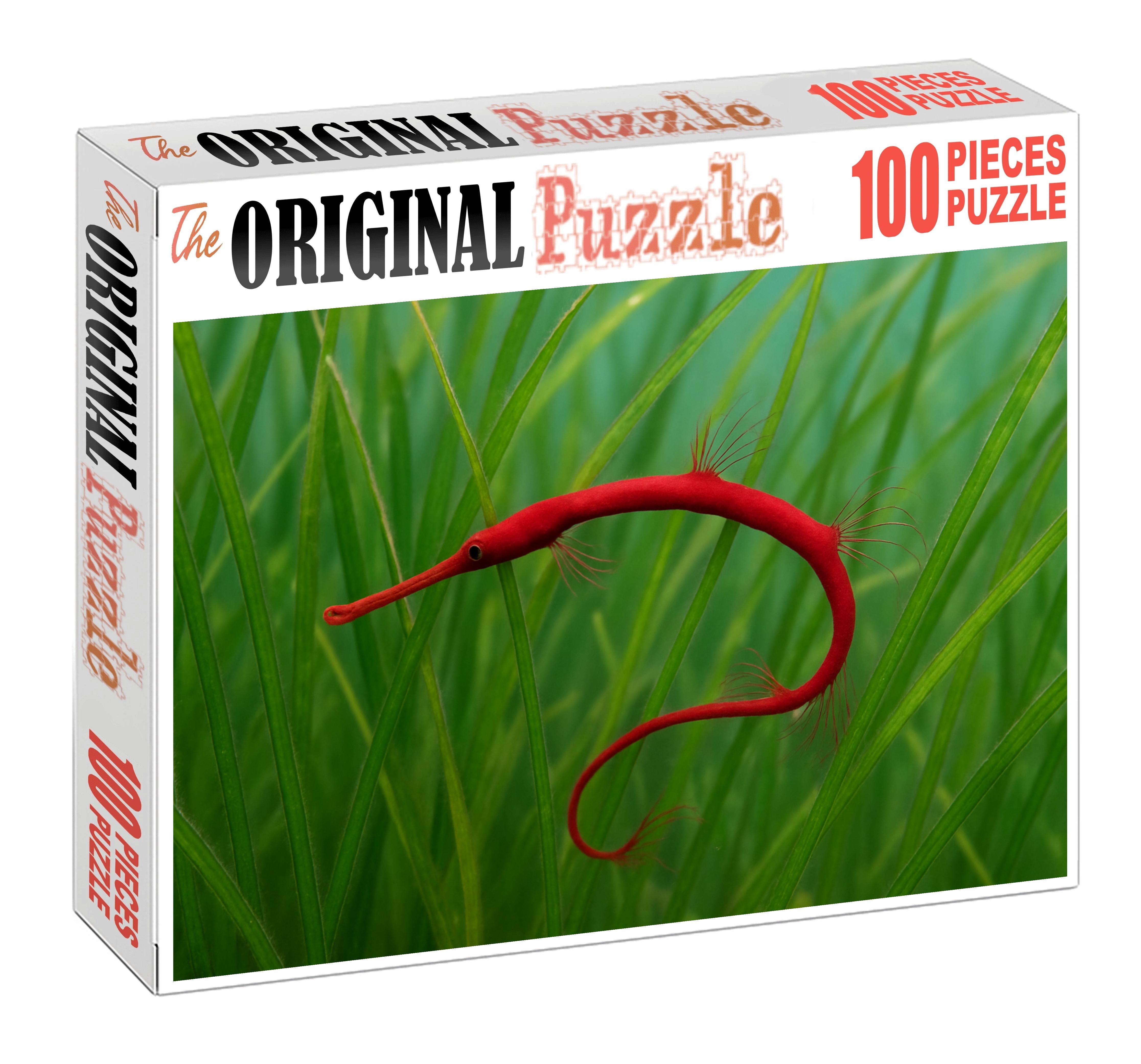 Crimson Threadfin Pipefish Slender Camouflaged Fish With Elongated Fins Mini Puzzle