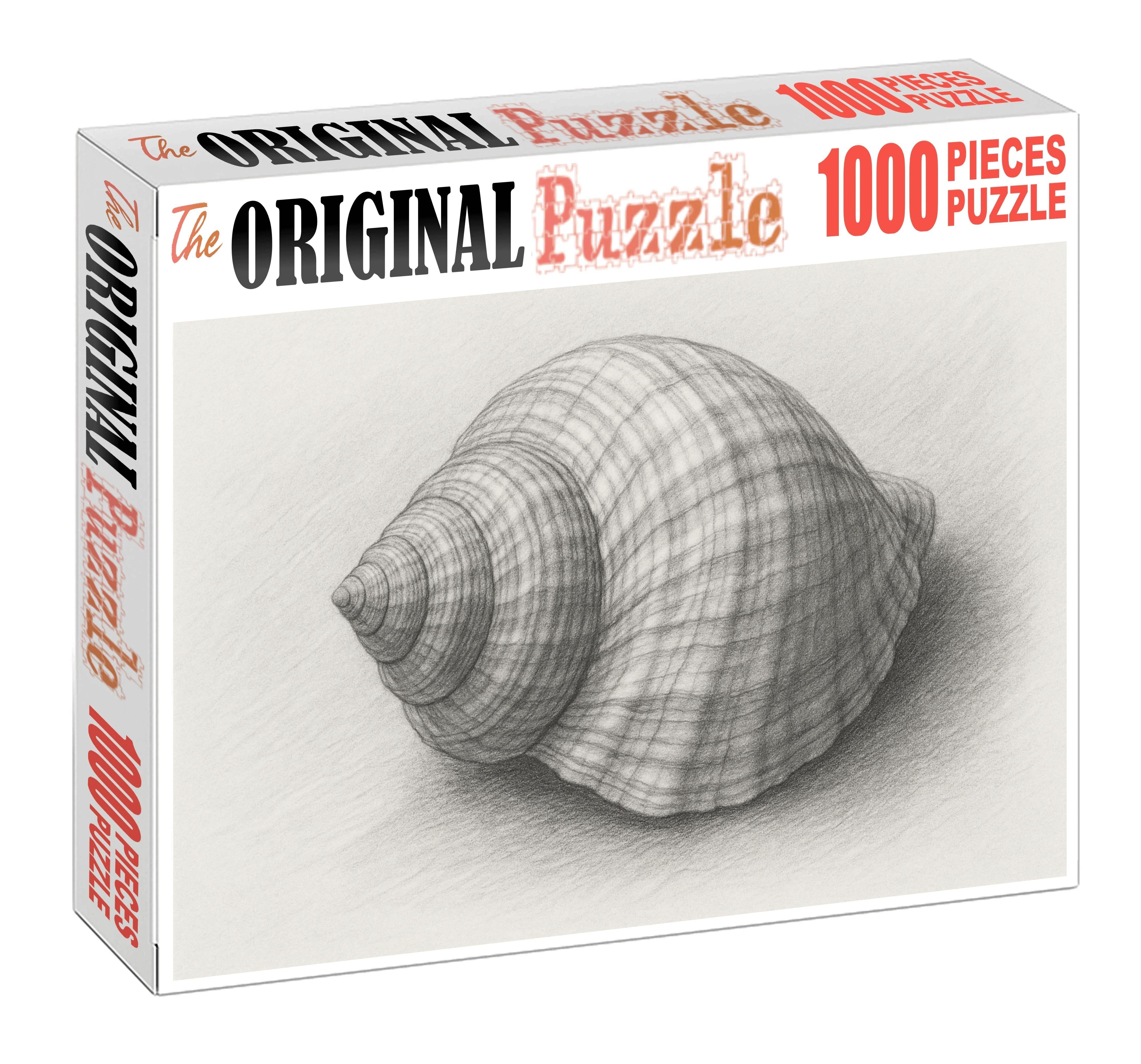 Intricate Shell Anatomy Detailed Graphite Scientific Study Puzzle Challenge