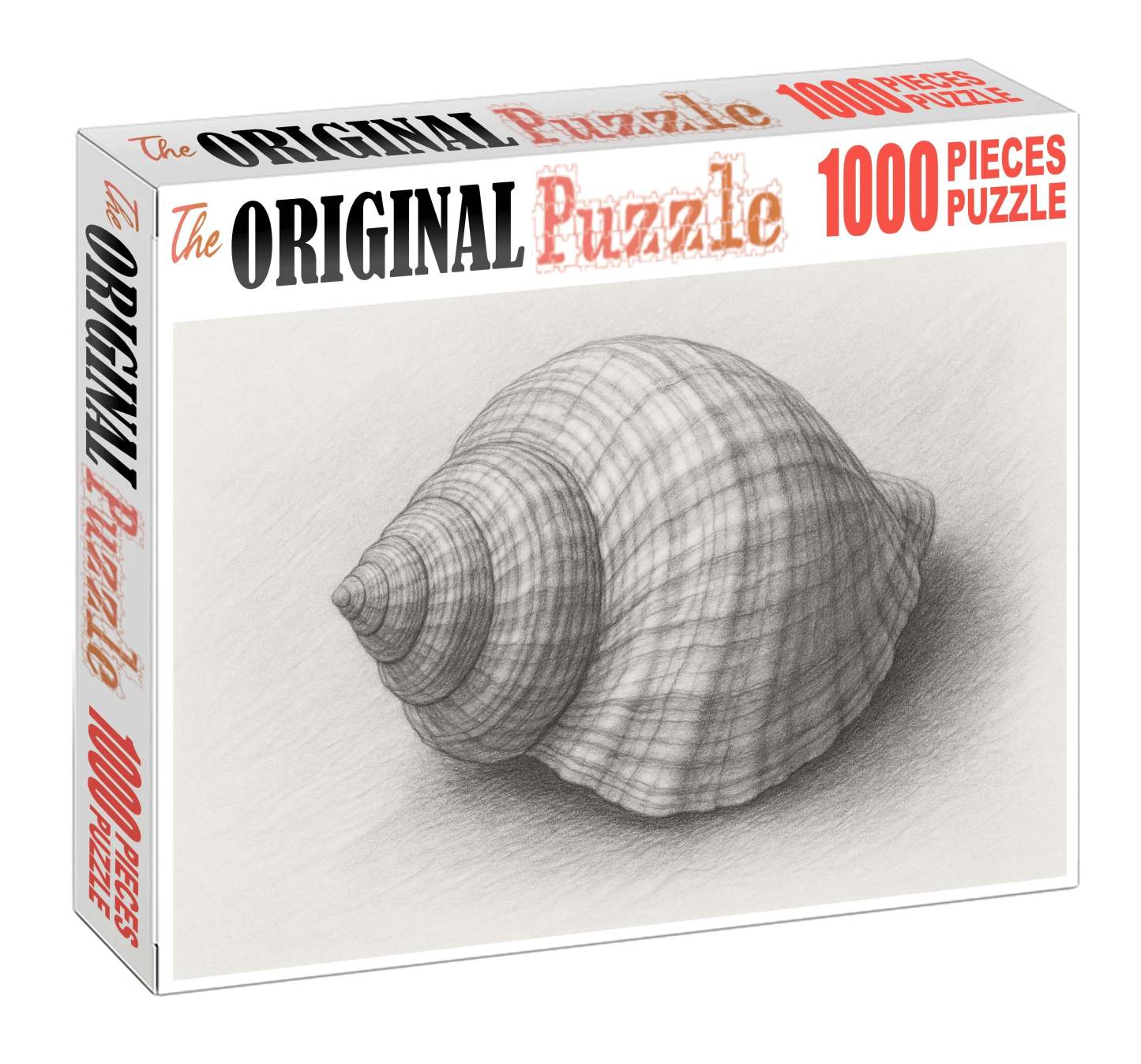 Intricate Shell Anatomy Detailed Graphite Scientific Study Puzzle Challenge