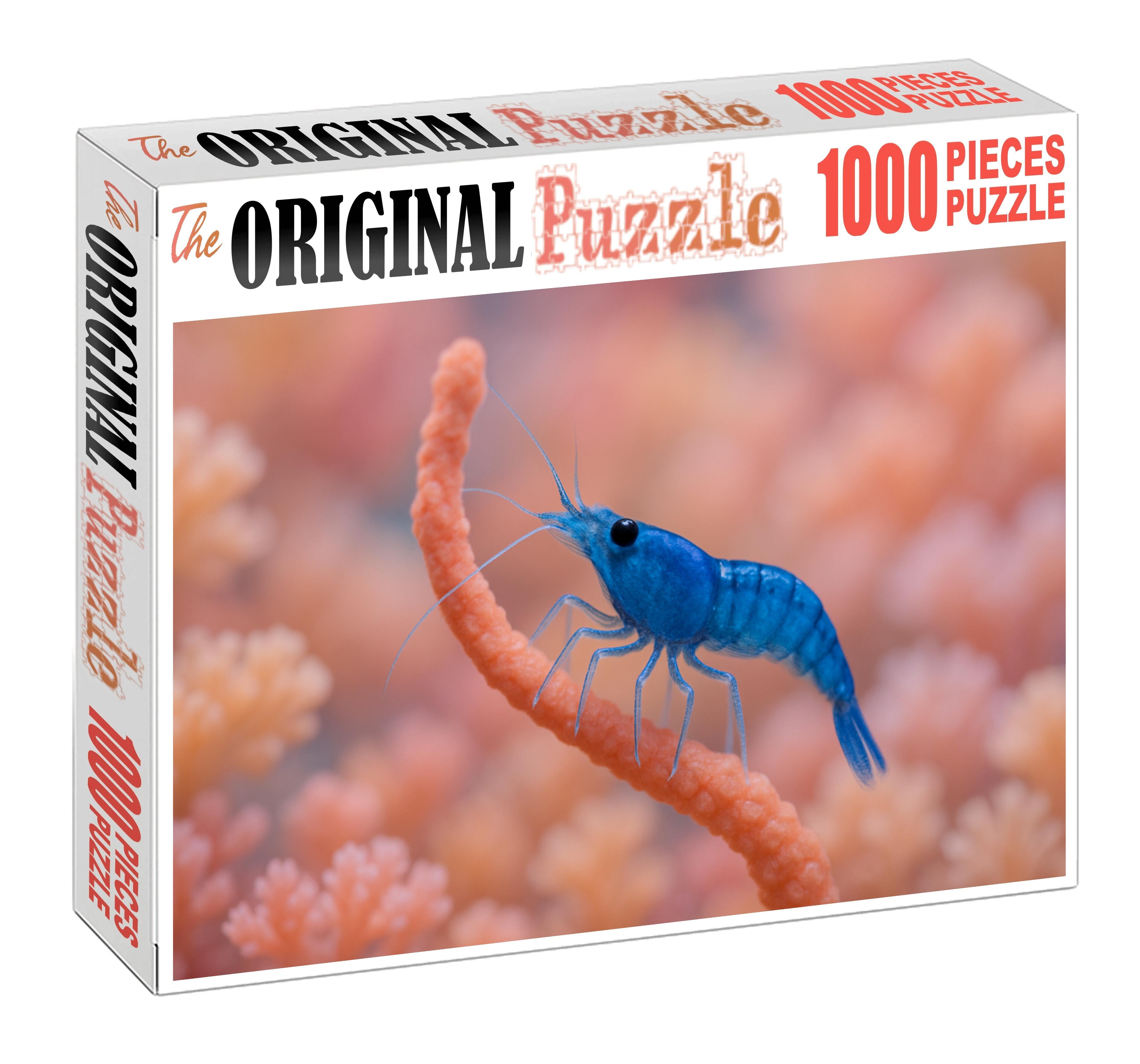 Sapphire Reef Shrimp Delicate Filter-feeder With Translucent Appendages Easy Puzzles