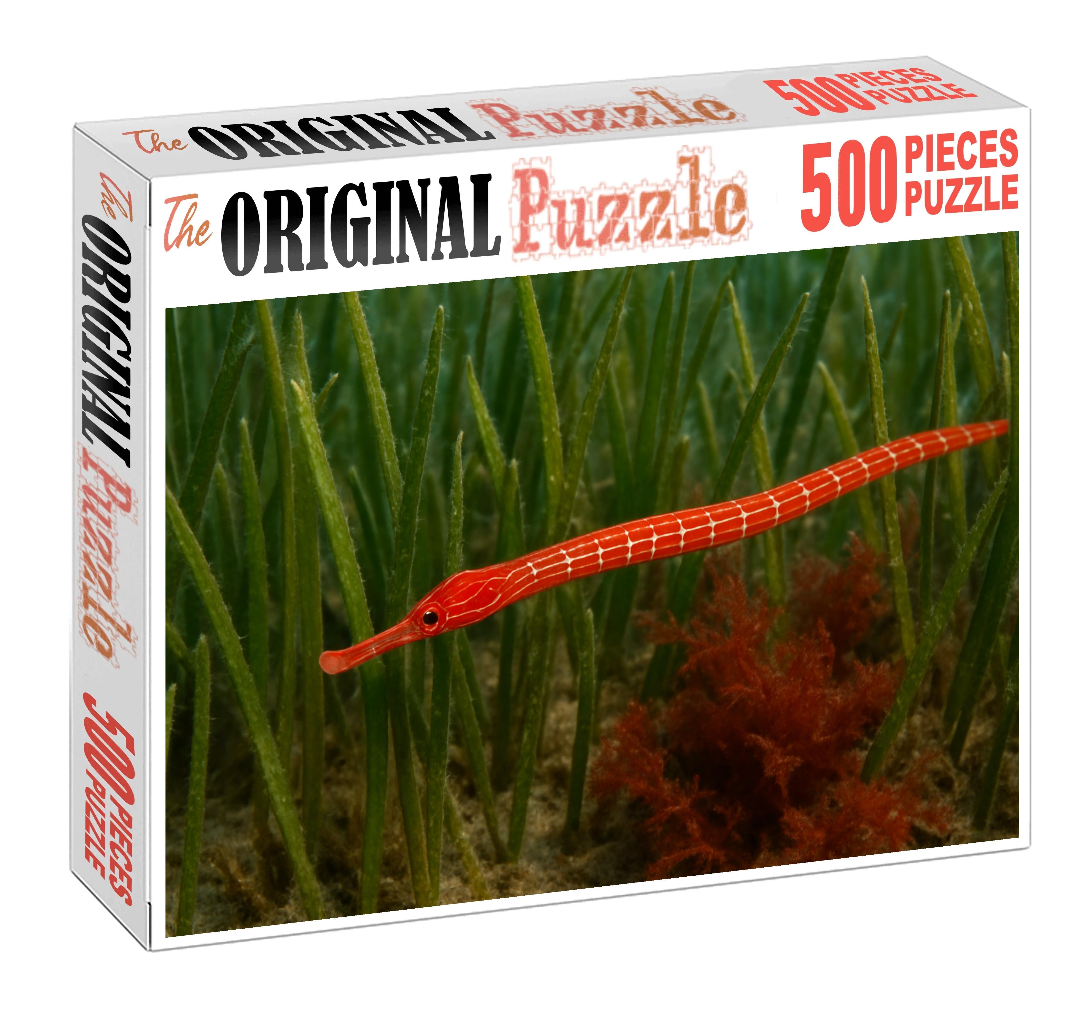 Crimson Pipefish Slender Ambush Predator With Bright Coloring Mini Puzzle
