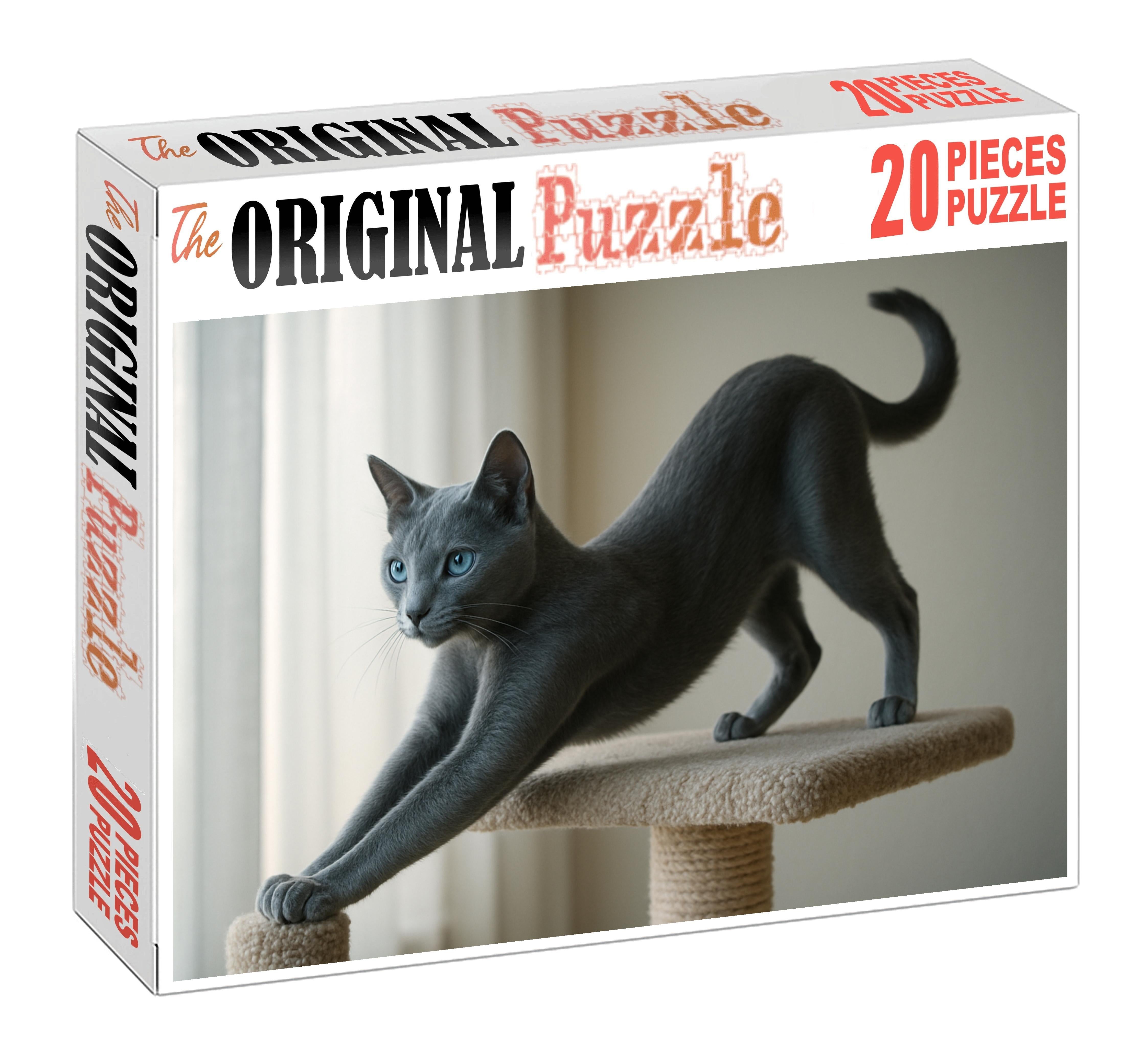 Cloud Dancer Pale Blue-gray Shortcoat With Agile Spirit Unique Puzzle Design