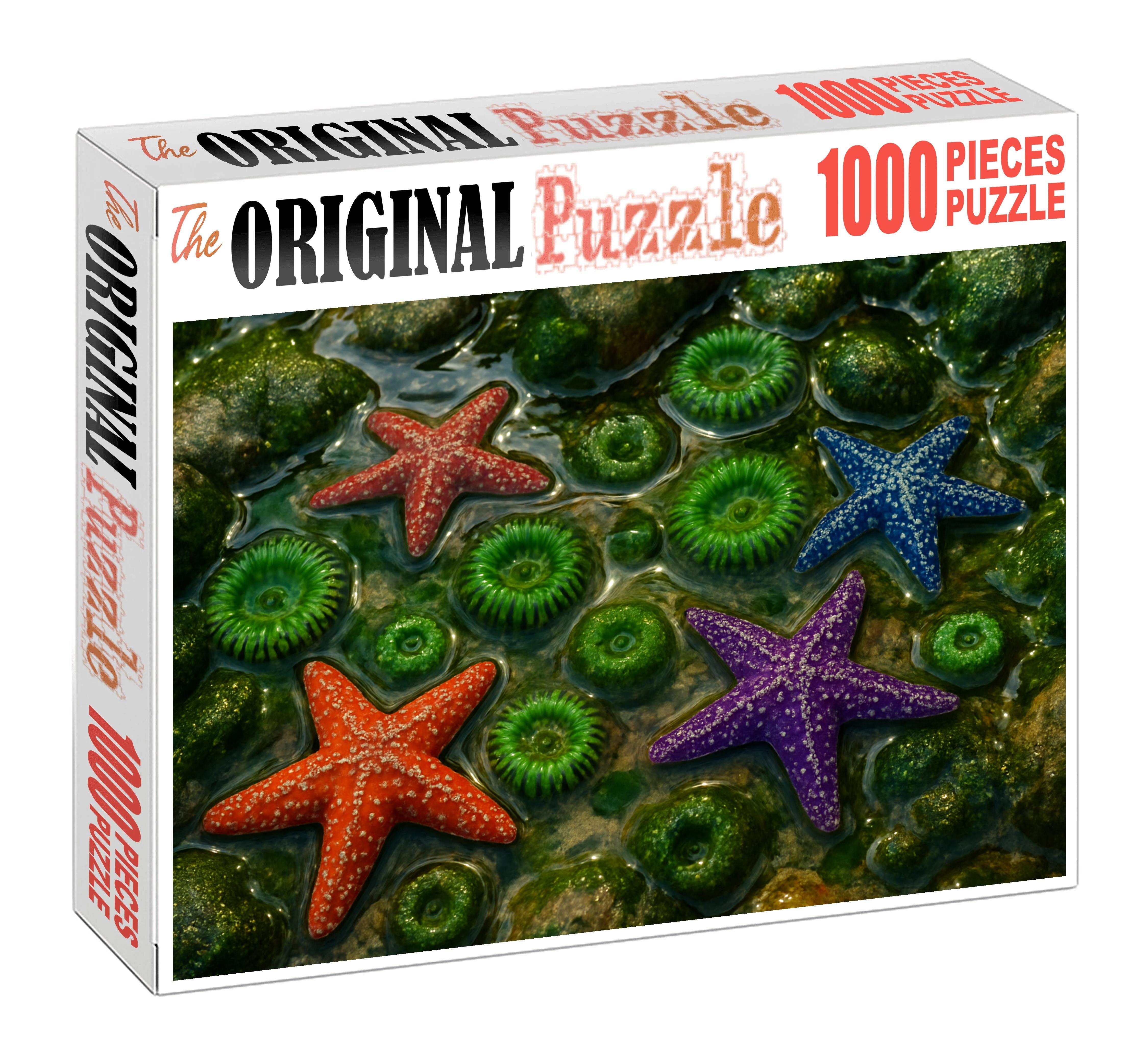 Silver Tide Pool Mosaic Puzzle Fun