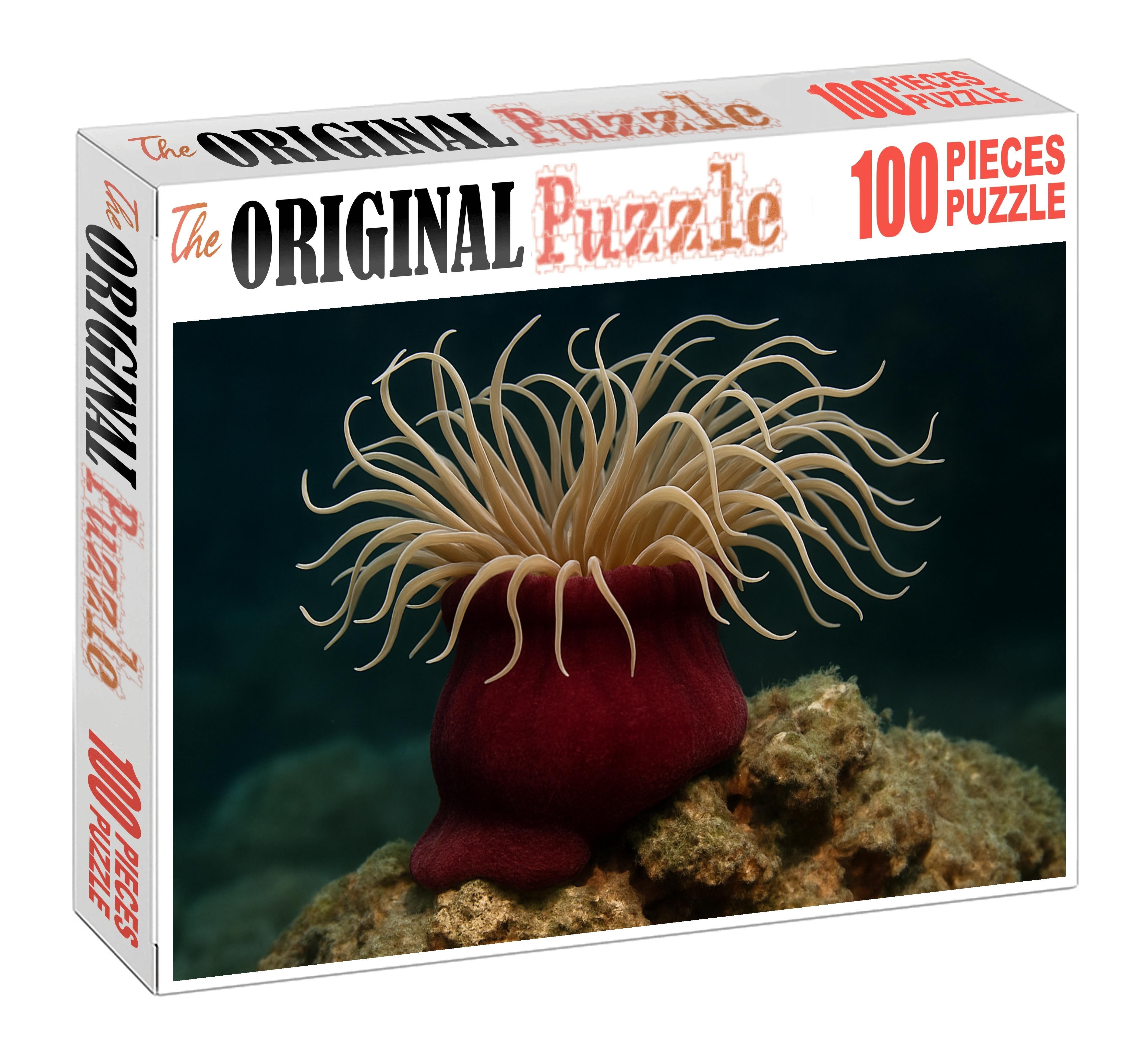 Velvet Sea Anemone Sedentary Predator With Swirling Tentacles Challenging Puzzles