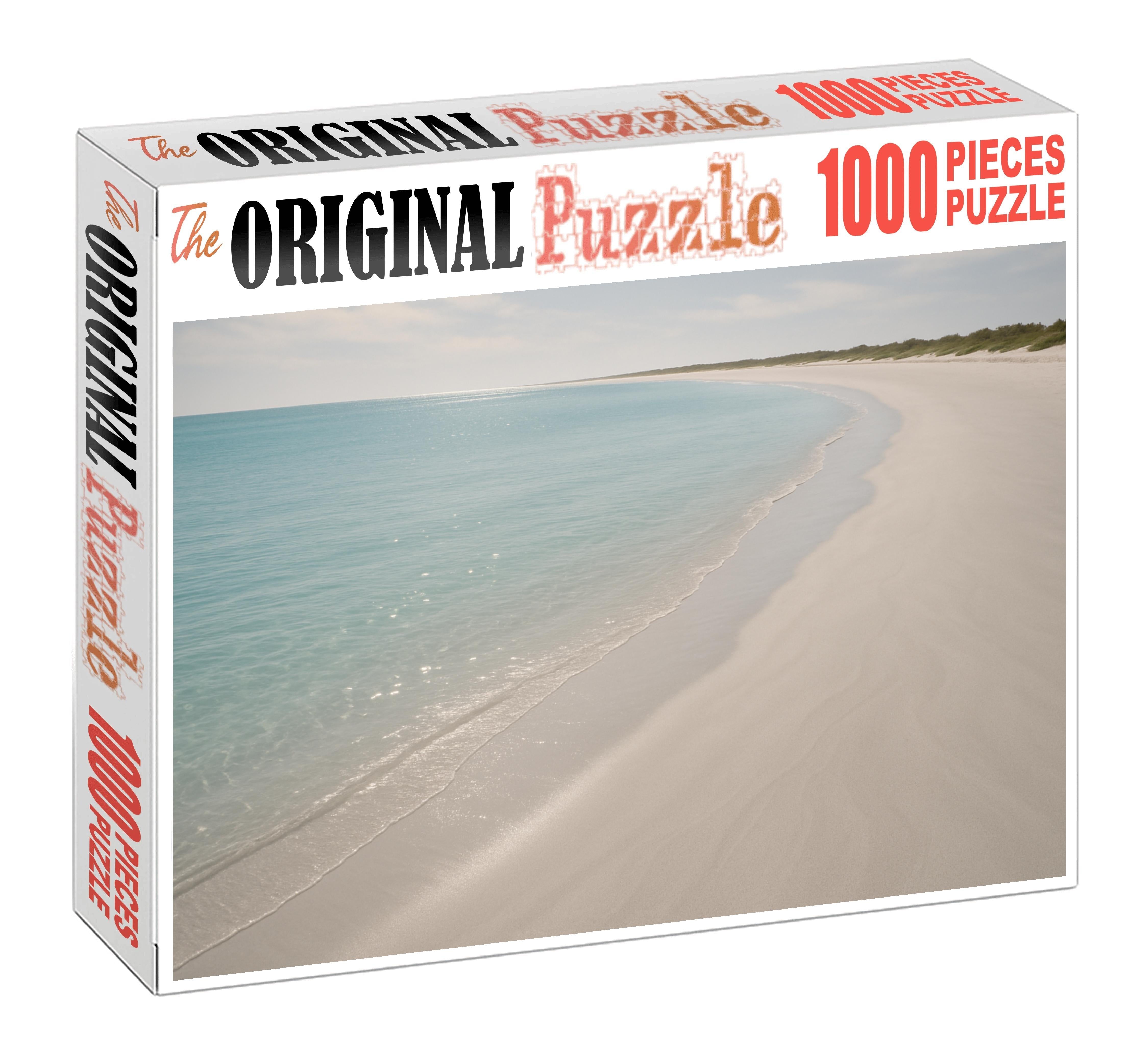 Silver Sand Point Mini Puzzle