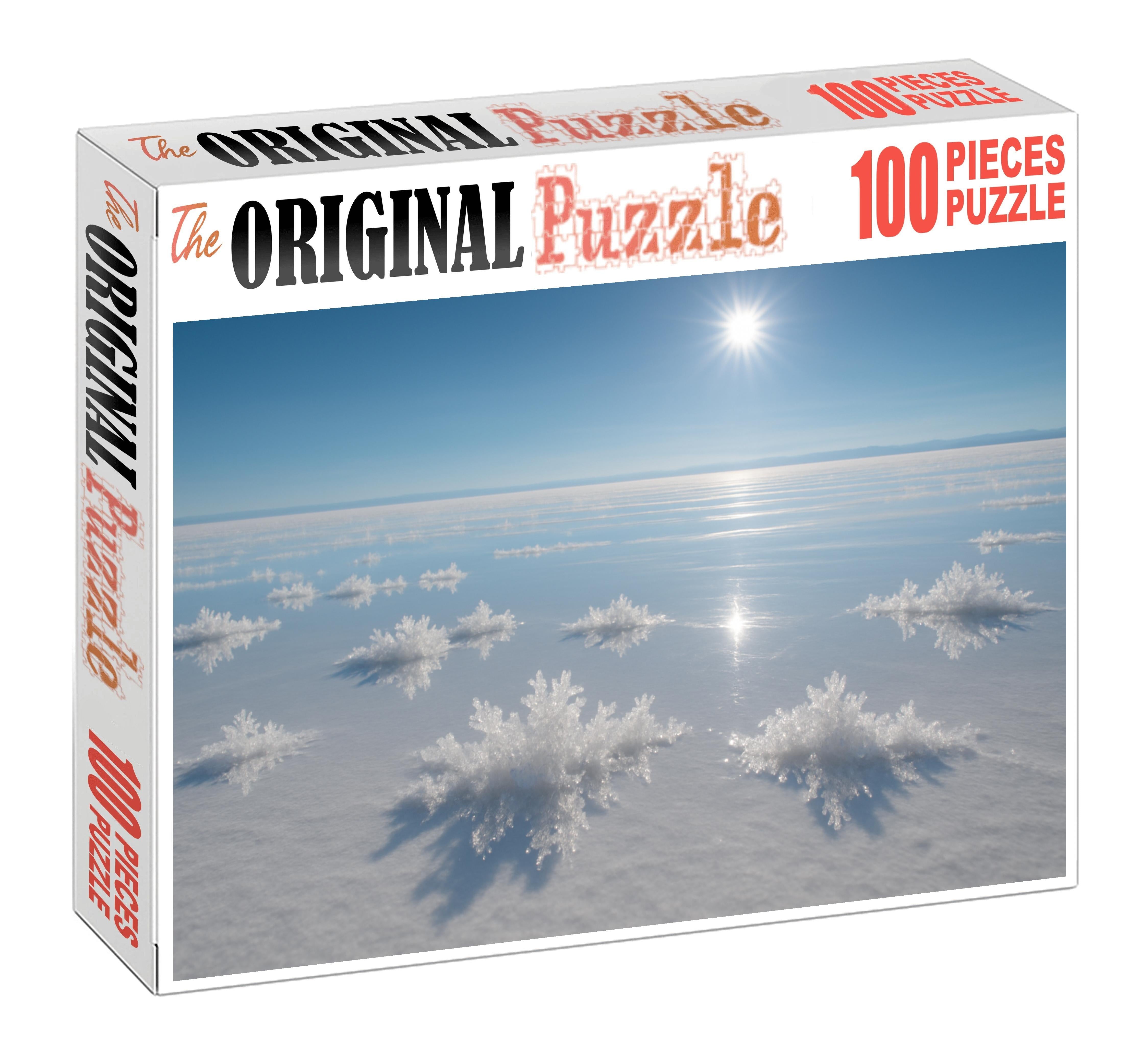 Silken Veil Salt Flats Unique Puzzle Design