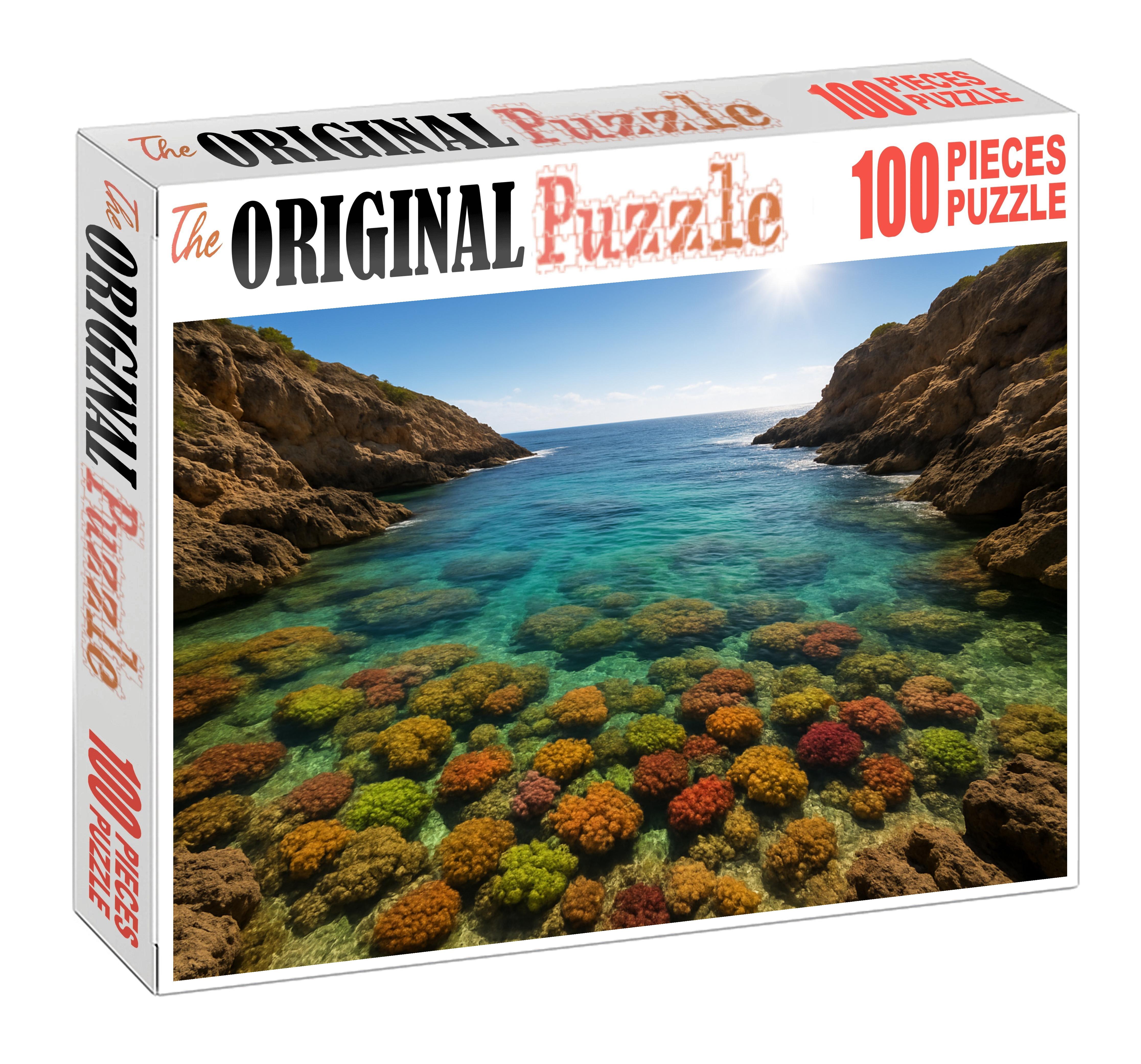 Secluded Coral Bay Unique Puzzle Design