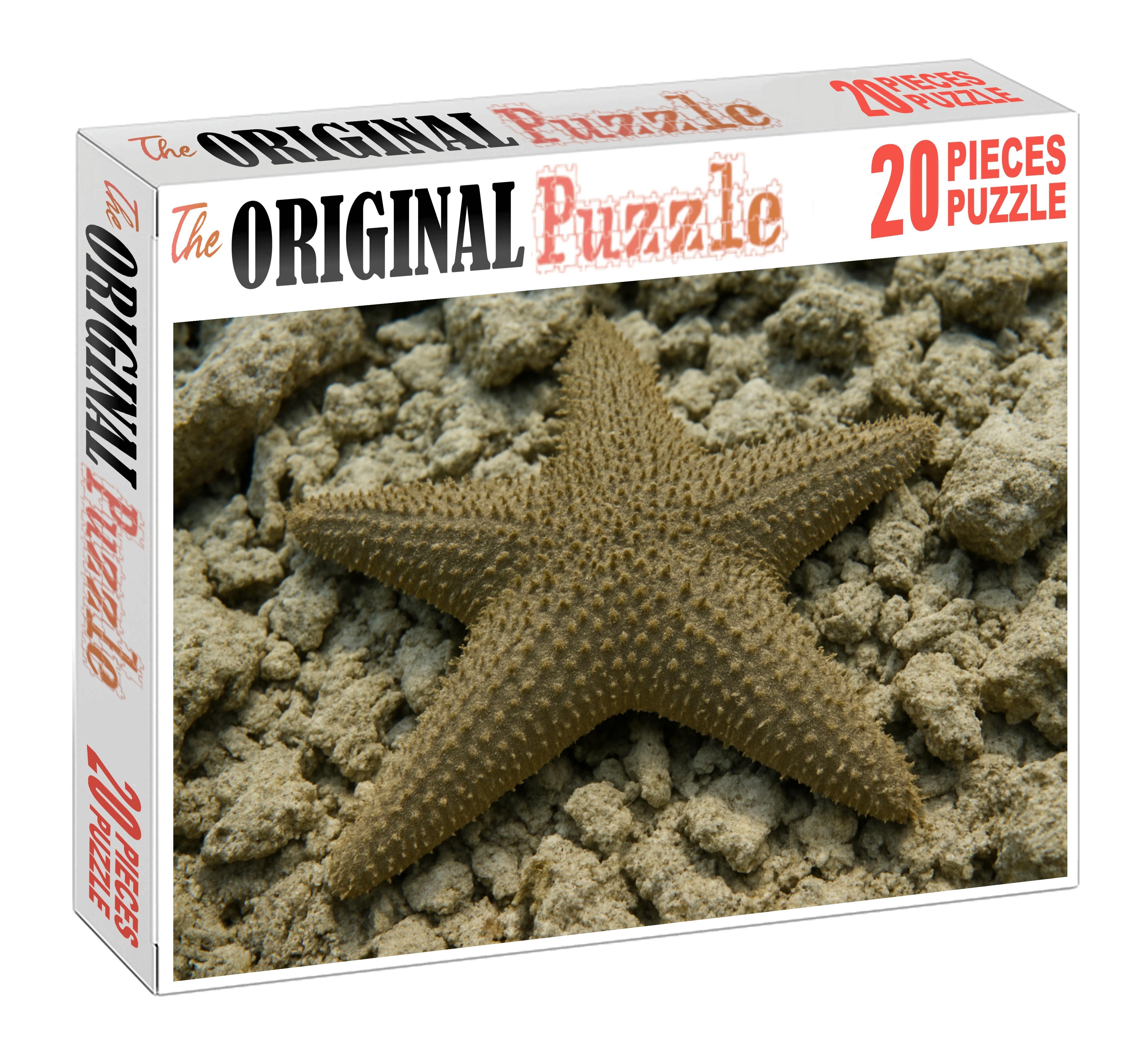 Coral Spine Starfish Radial-eyed Echinoderm With Thorny Texture Puzzle Collection